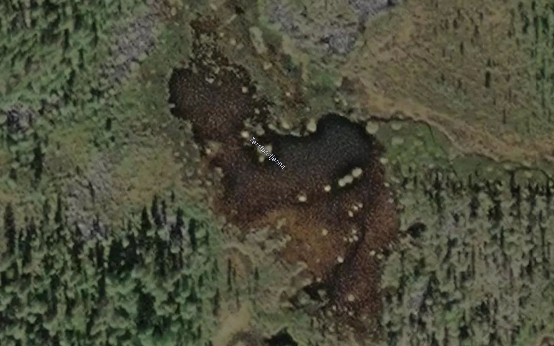 Satellite map of the Torrfurutjonna