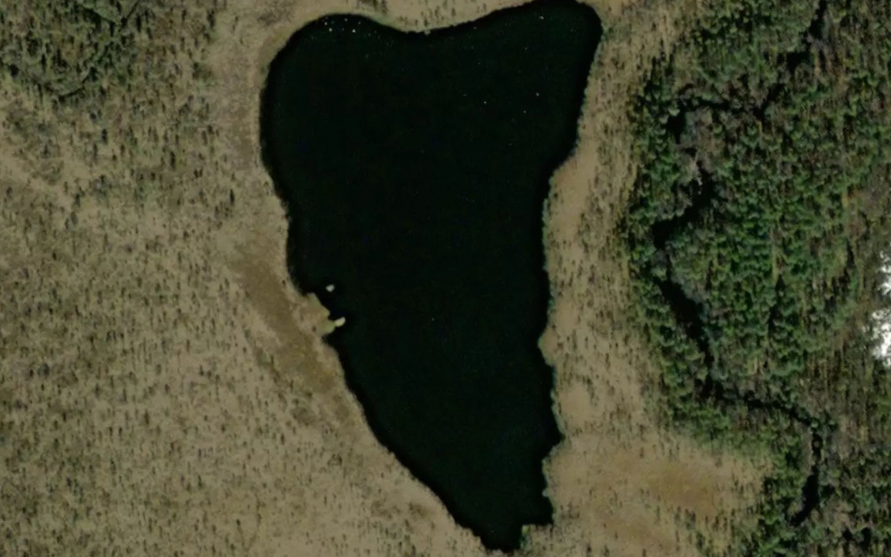 Satellite map of the Suurensuonlammit