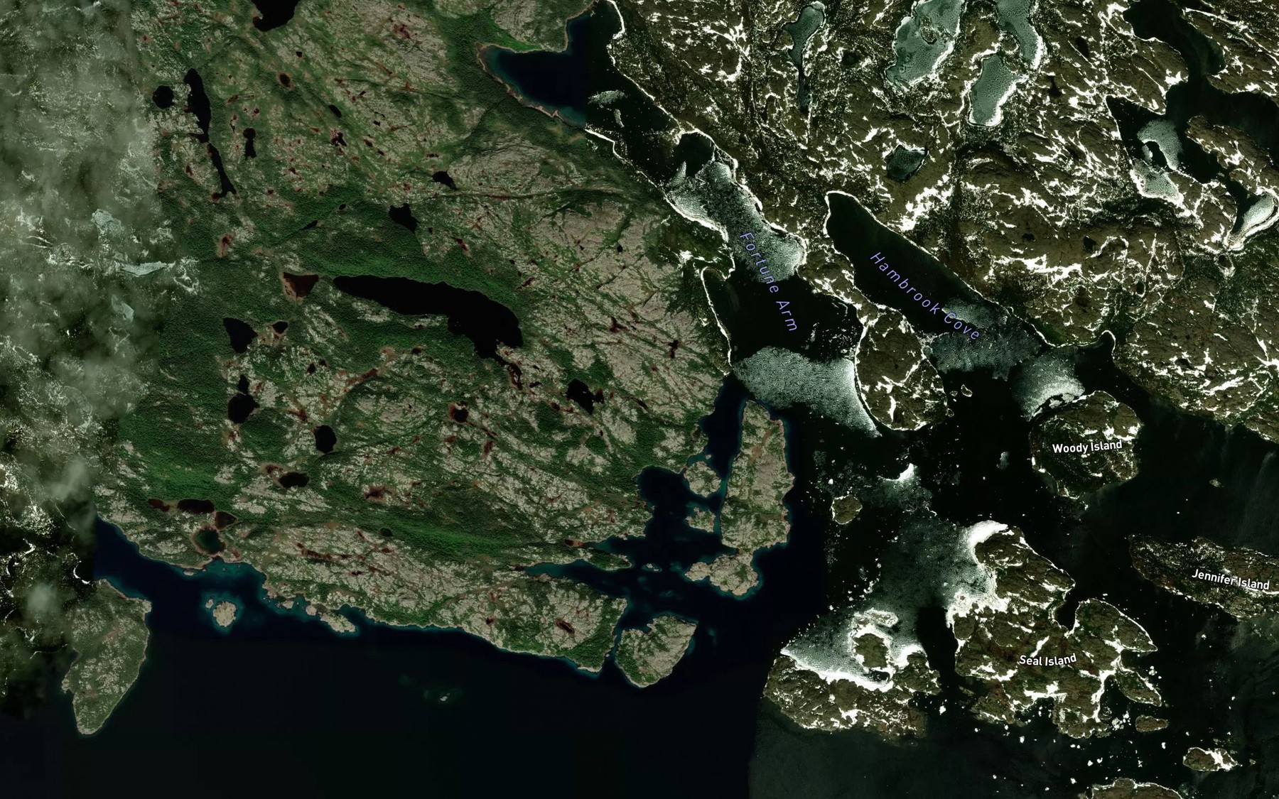 Satellite map of the Fortune Arm