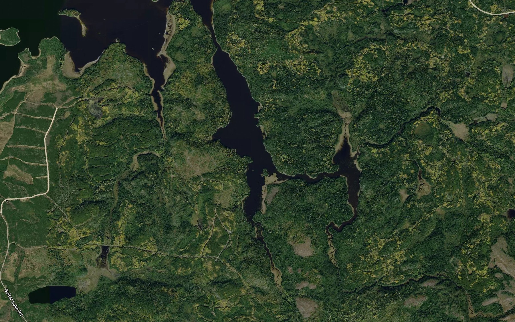 Satellite map of the Flash Creek