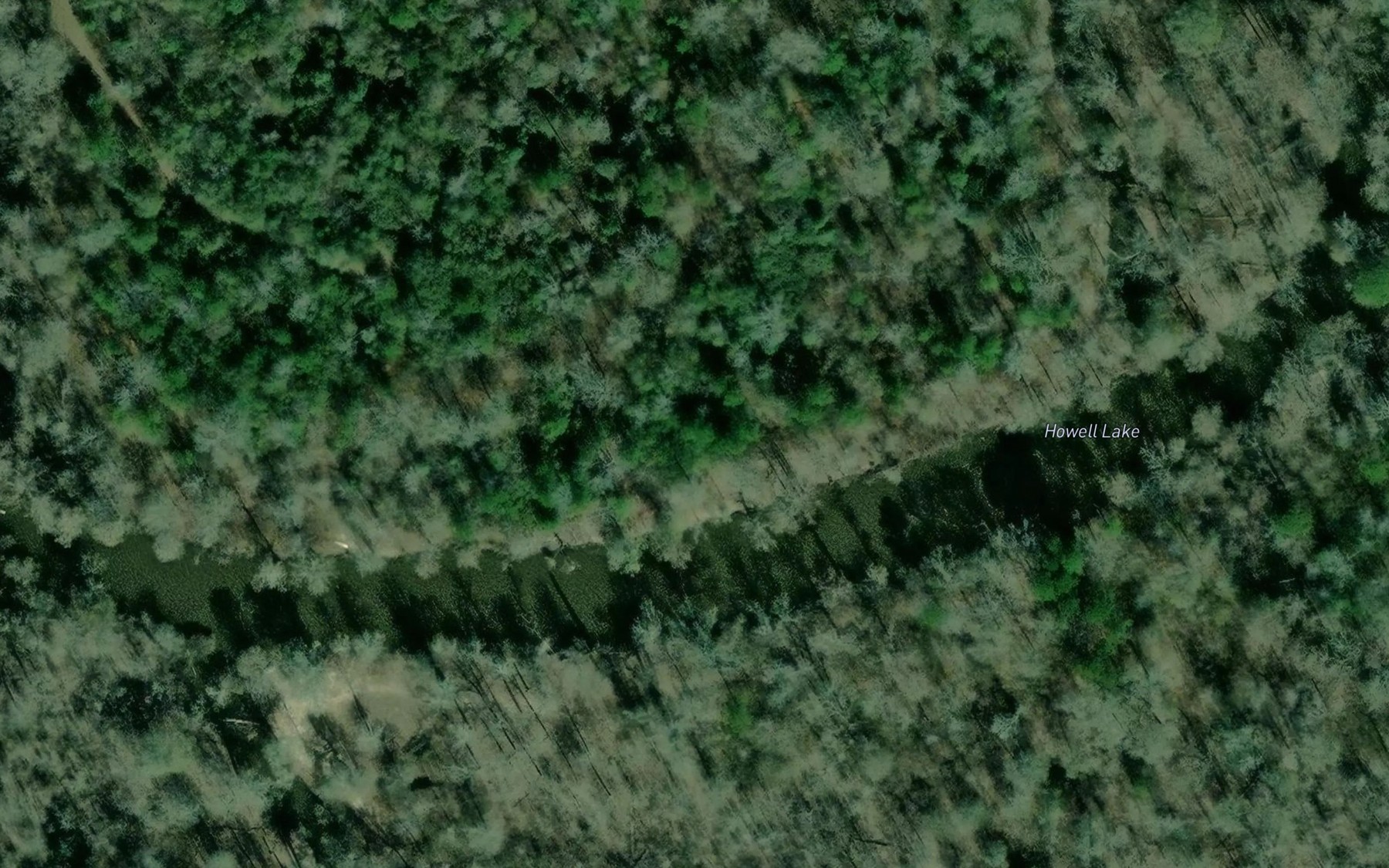 Satellite map of the Howell Lake