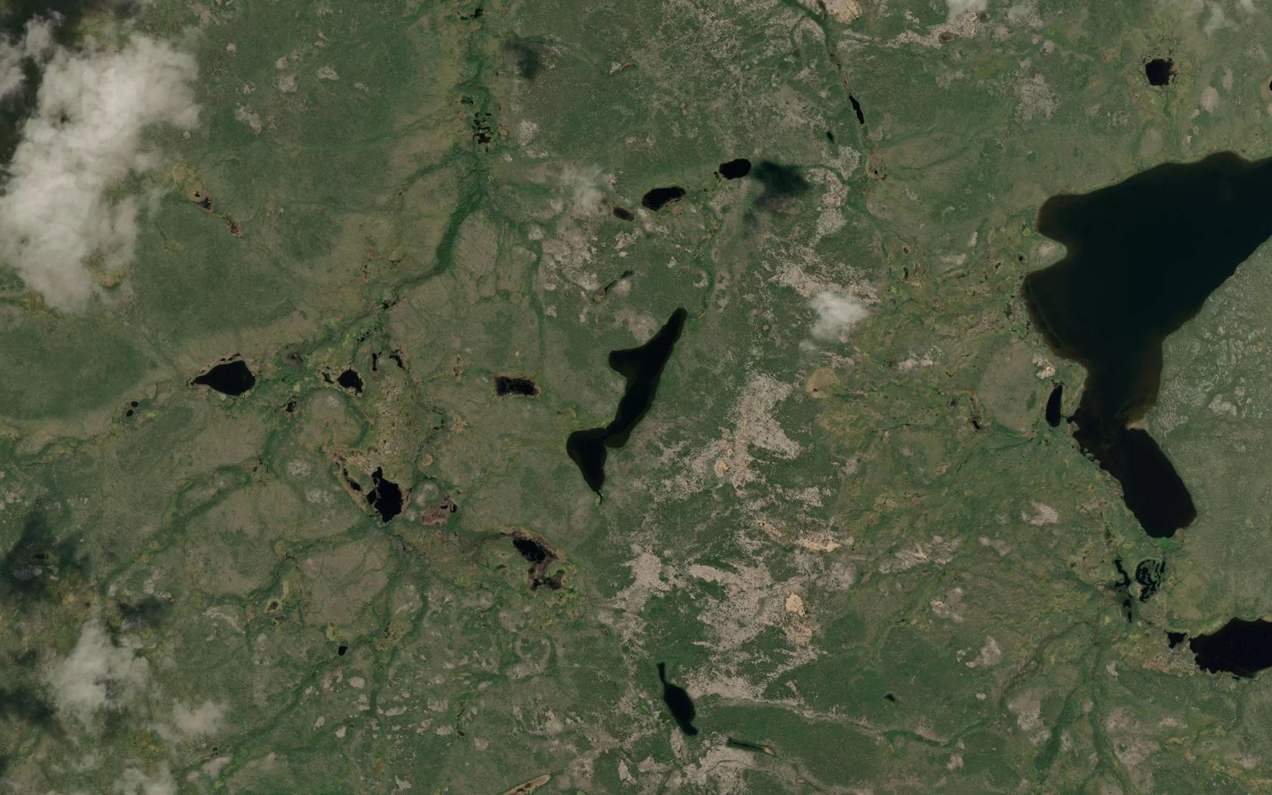 Nicolson Lake