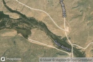 Cola del Gallo Arroyo