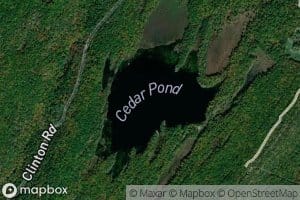 Cedar Pond