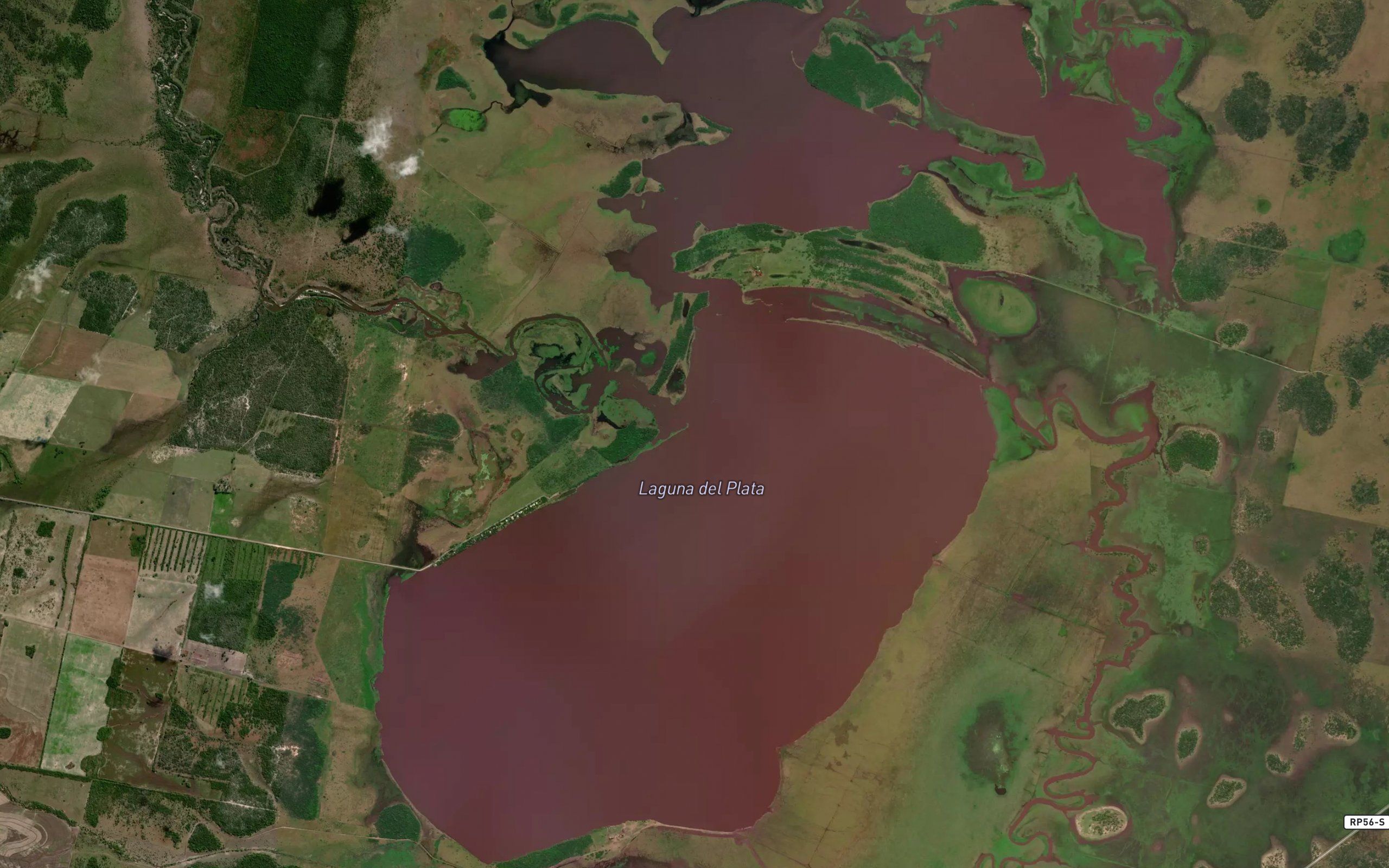 Laguna del Plata