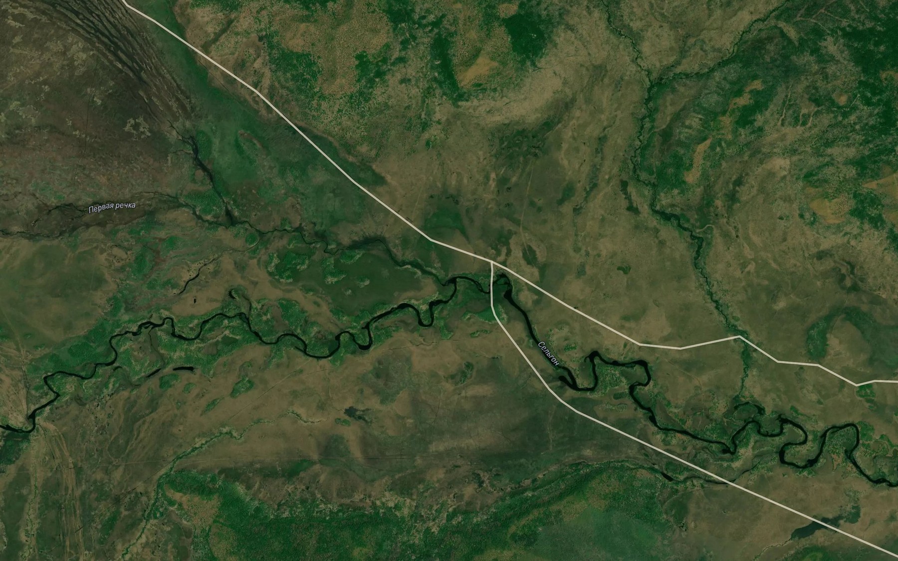 Satellite map of the Pervaya Rechka