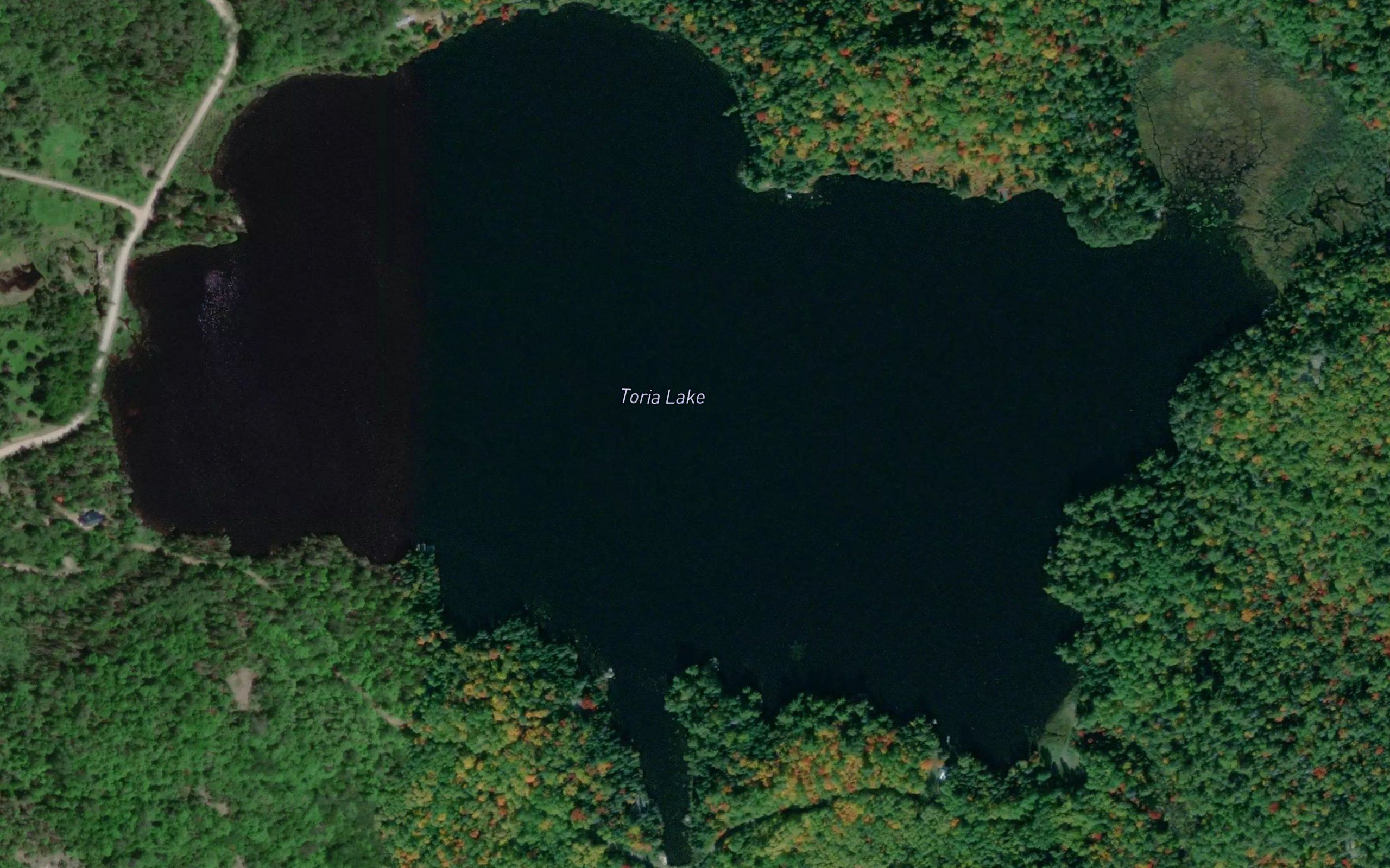 Toria Lake