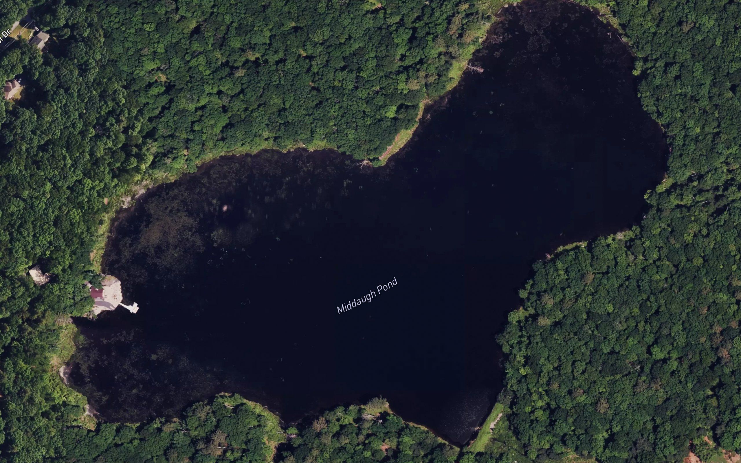 Middaugh Pond