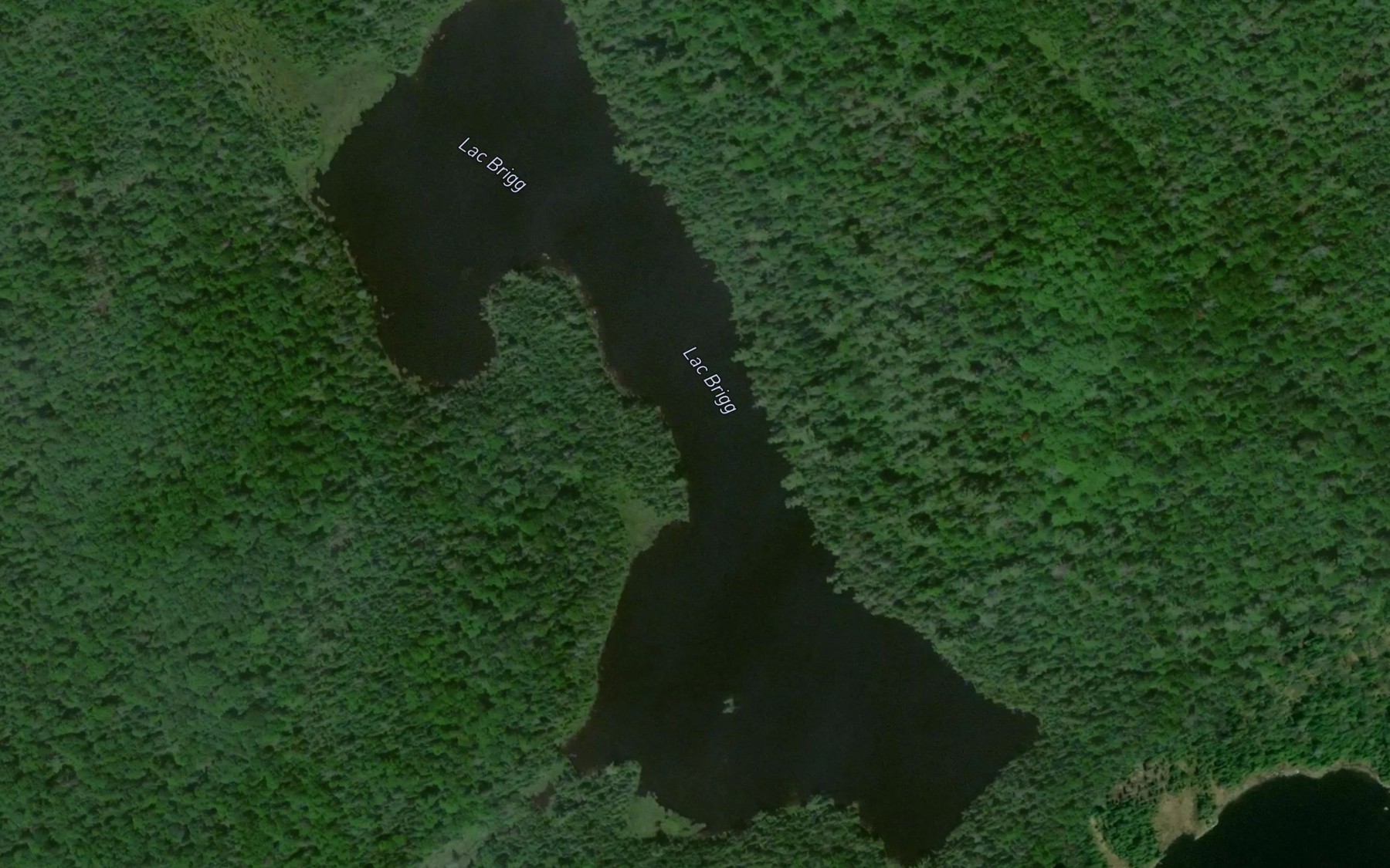 Satellite map of the Lac Brigg