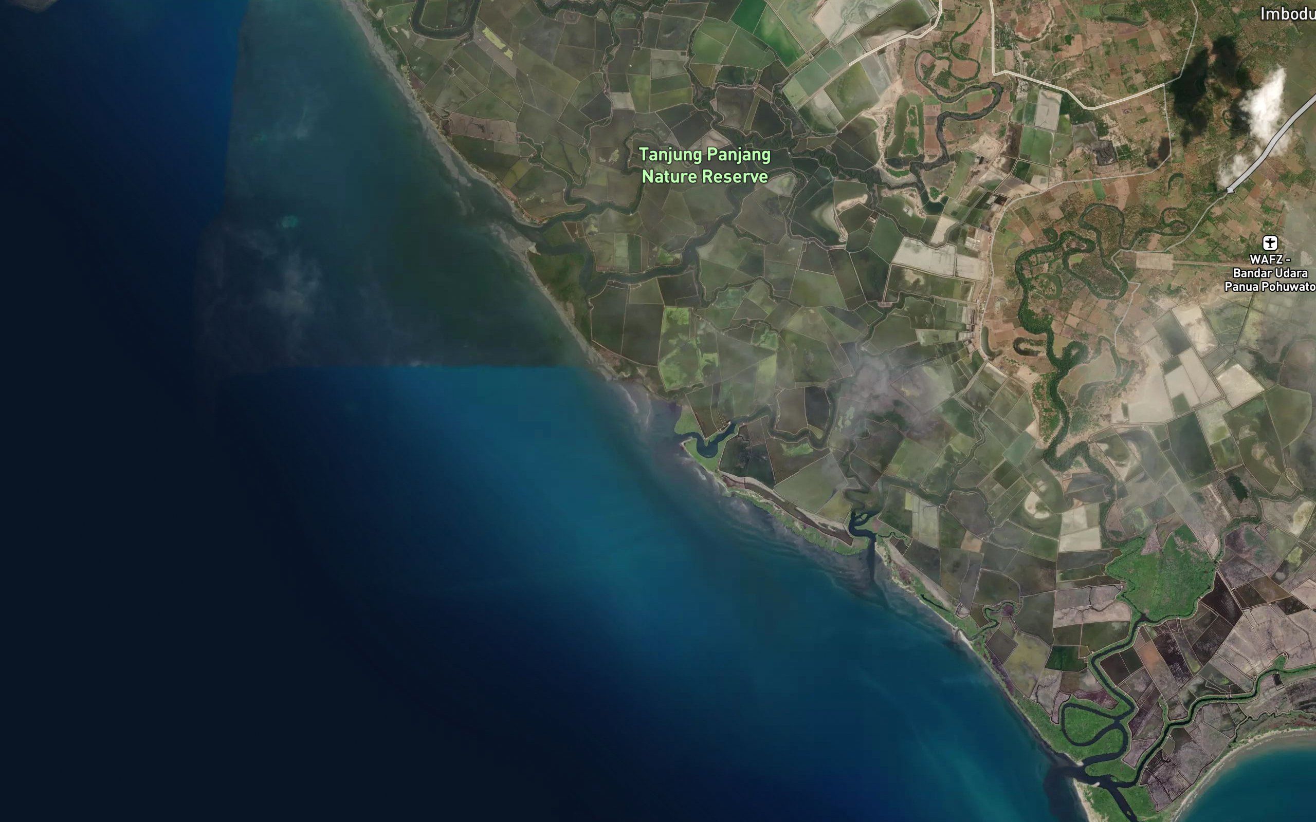 Dutula Patuhu