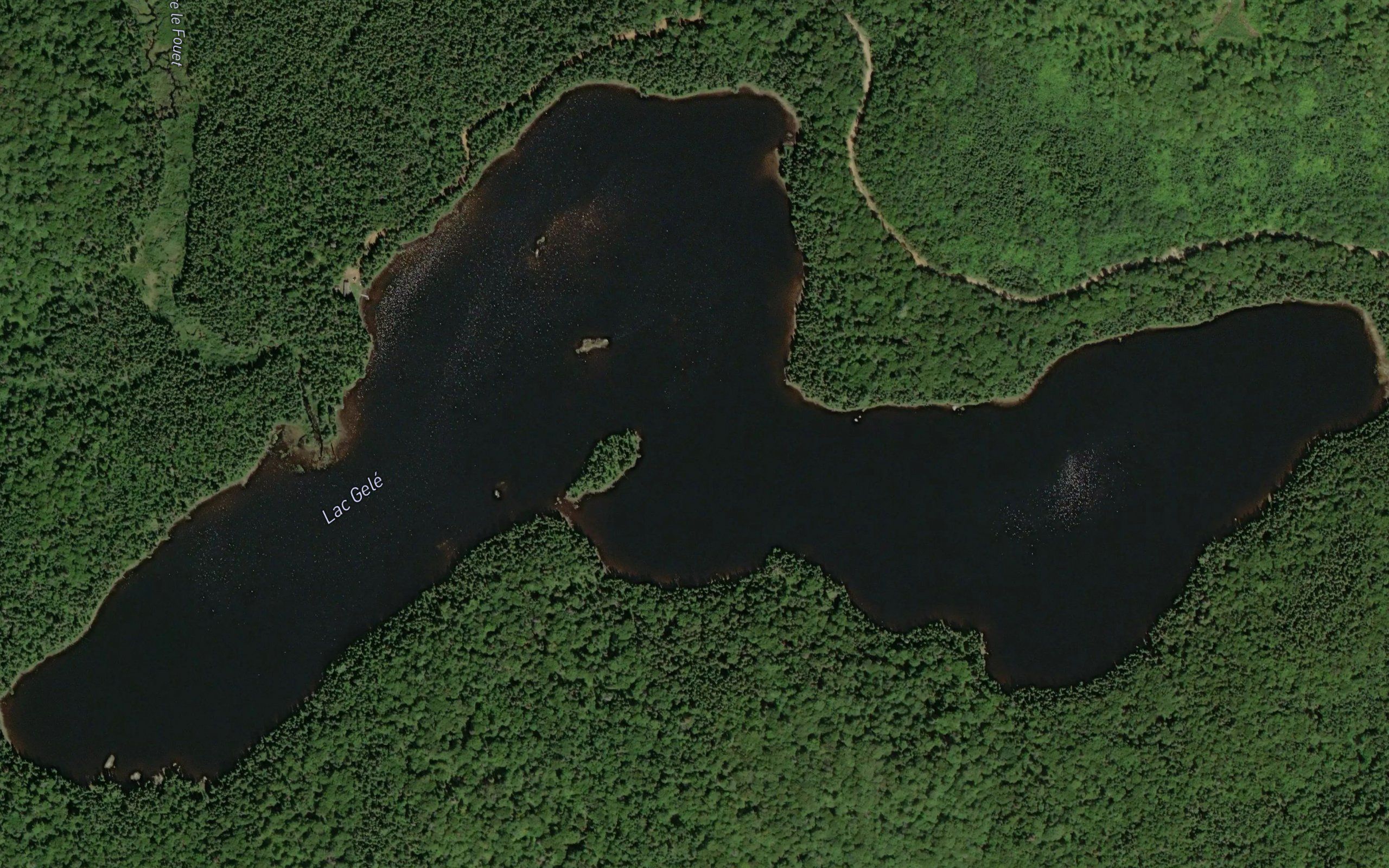 Lac Gele