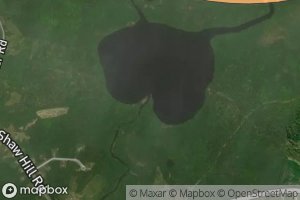 Satellite map of the West Branch Souadabscook Stream
