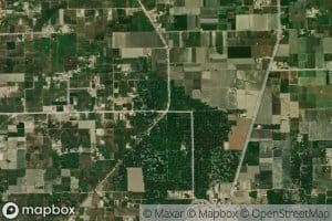 Mau Mubarak Distributary