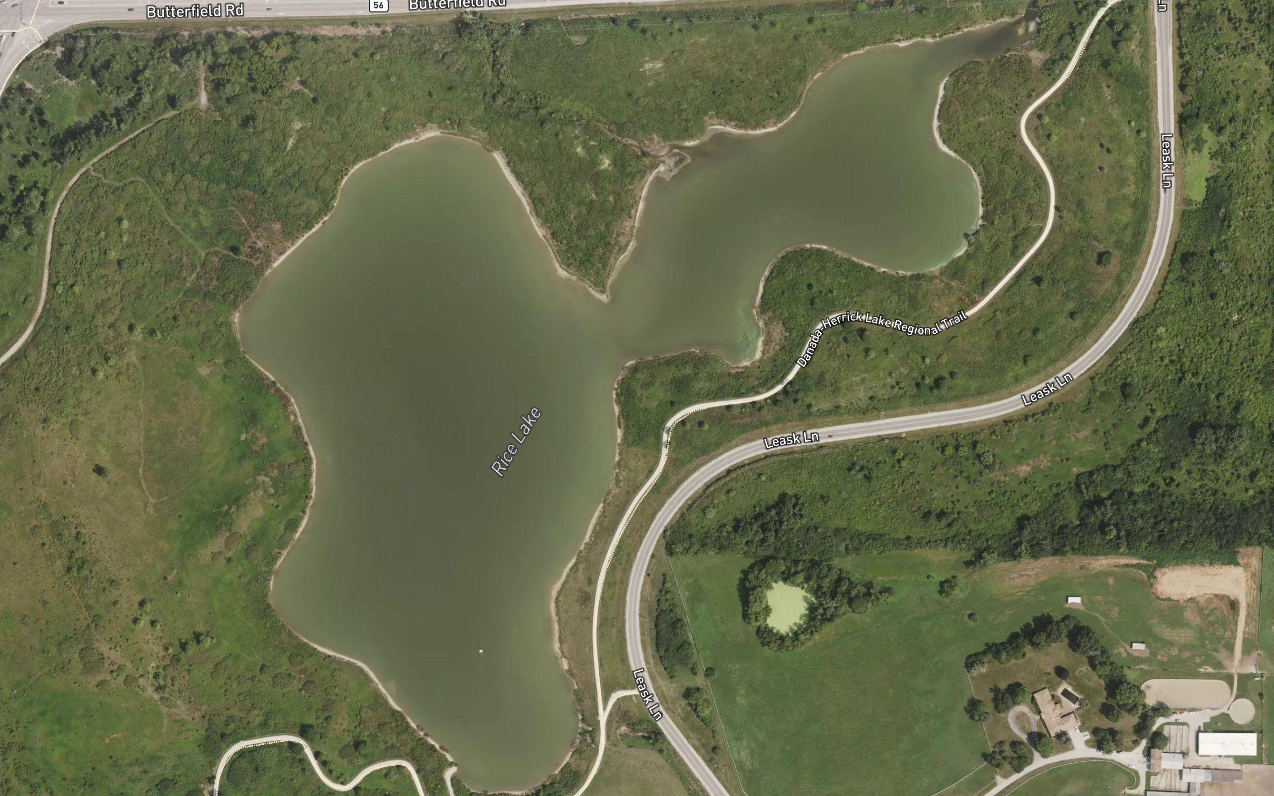 Rice Lake