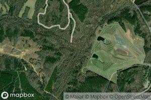 Race Branch