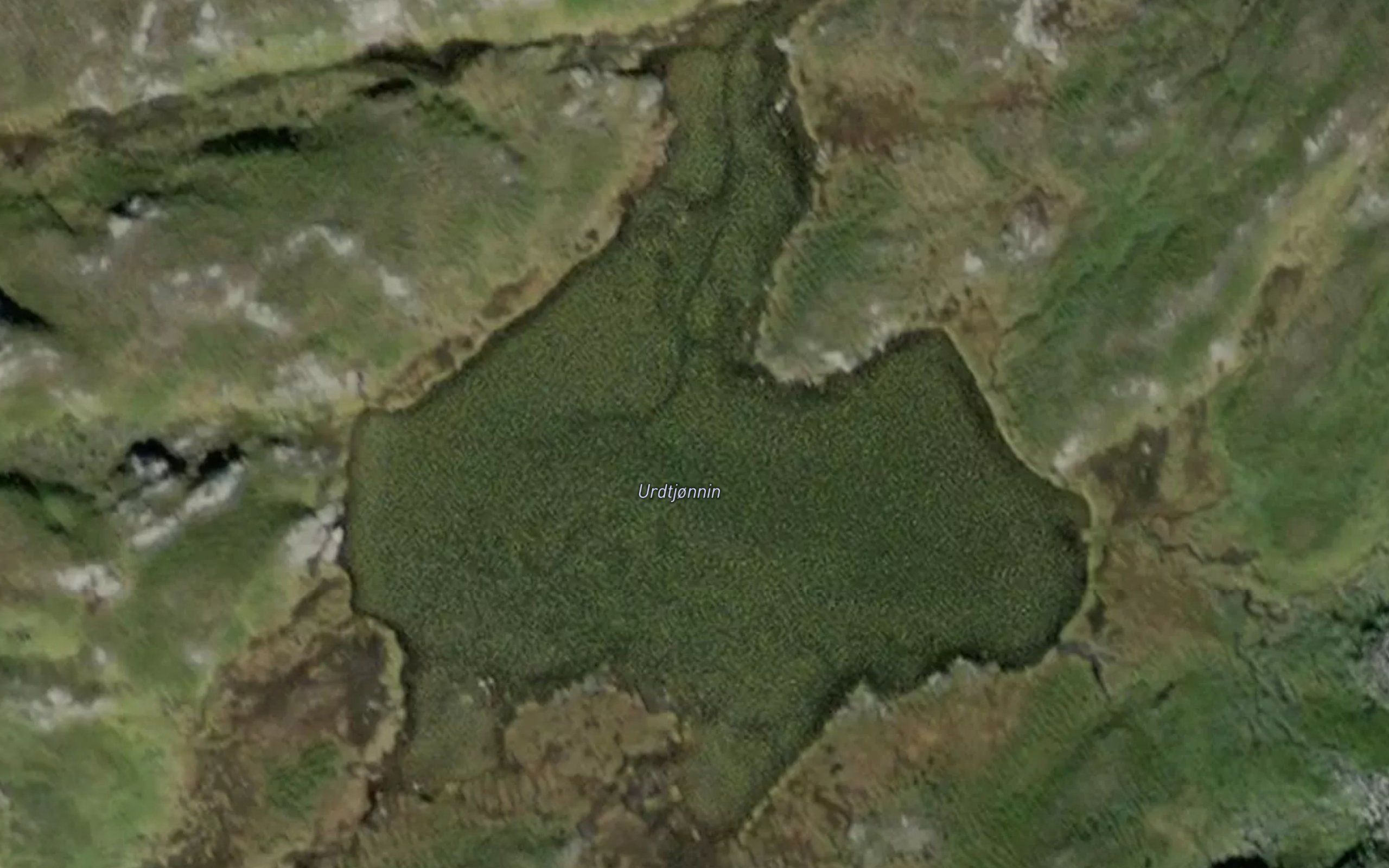 Urdtjornin