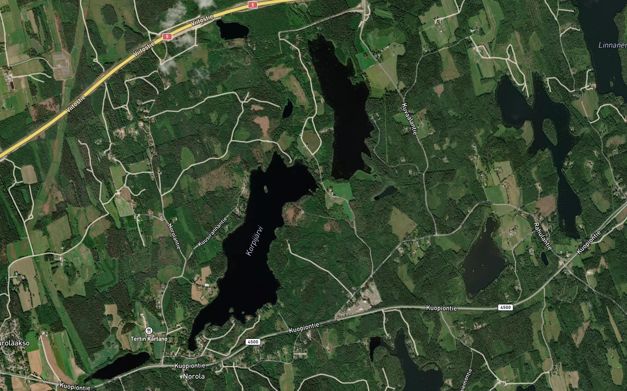 Kuurunjoki