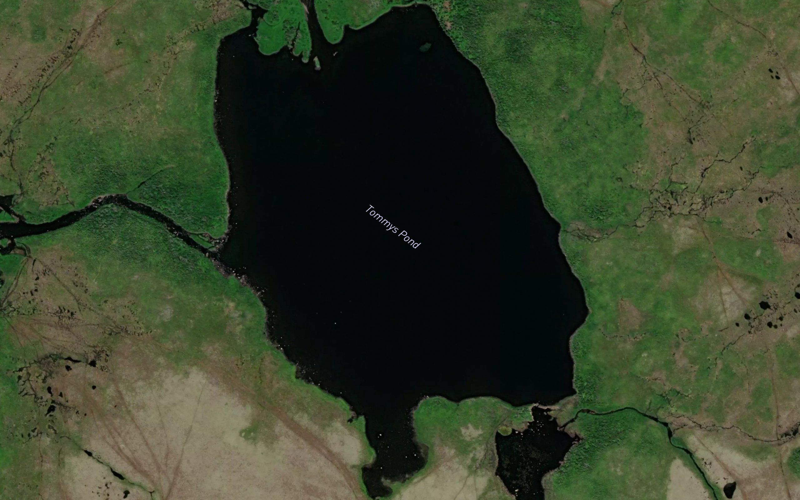 Tommys Pond