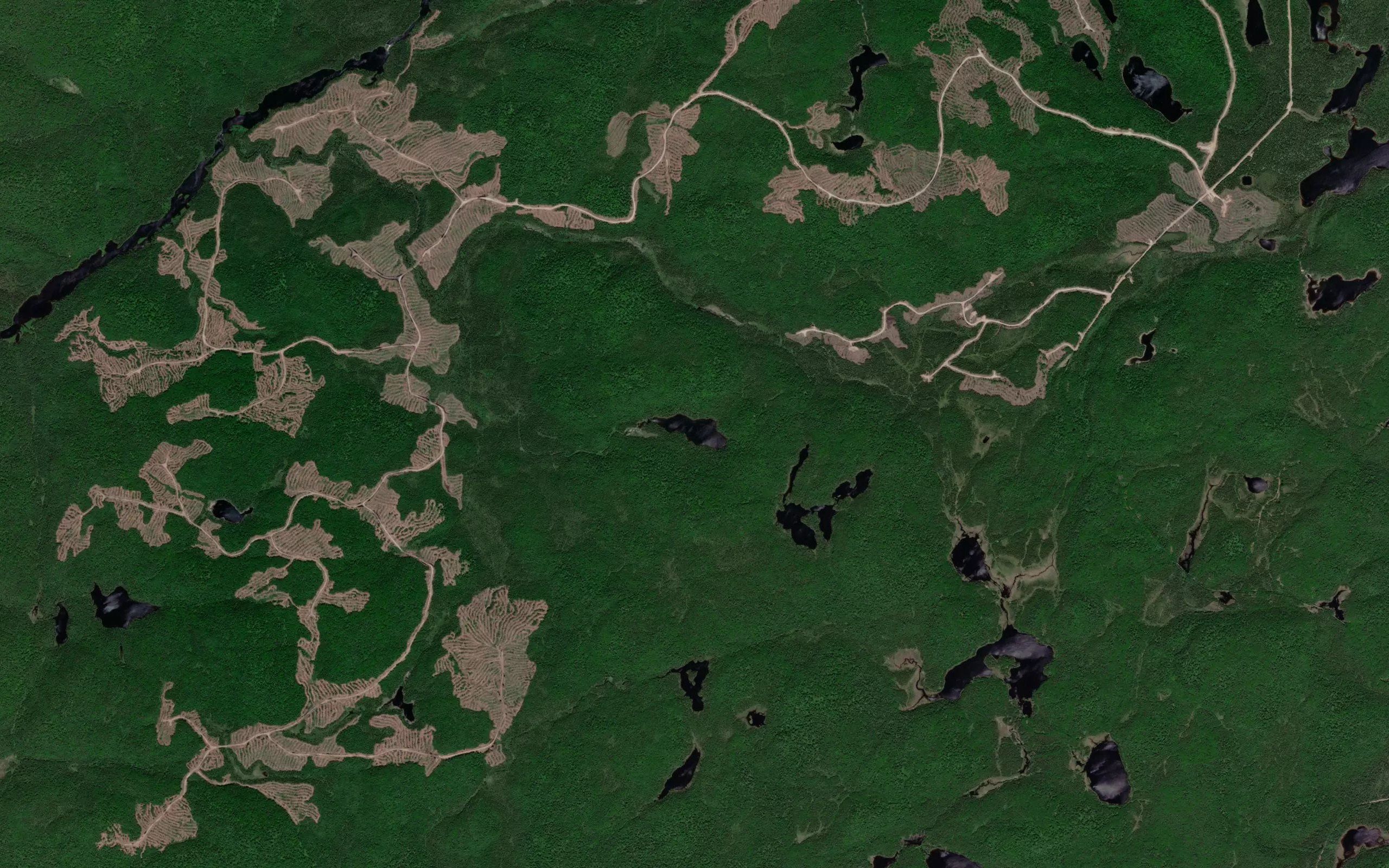 Lac de l'Aviron