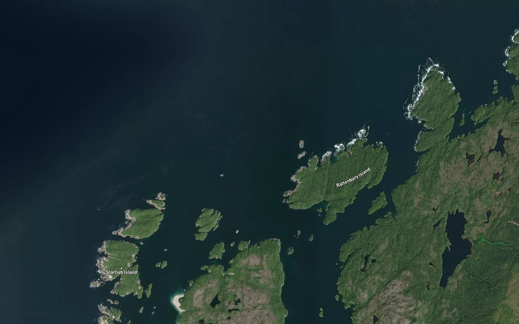 Satellite map of the Port Reef
