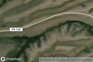 Willow Spring