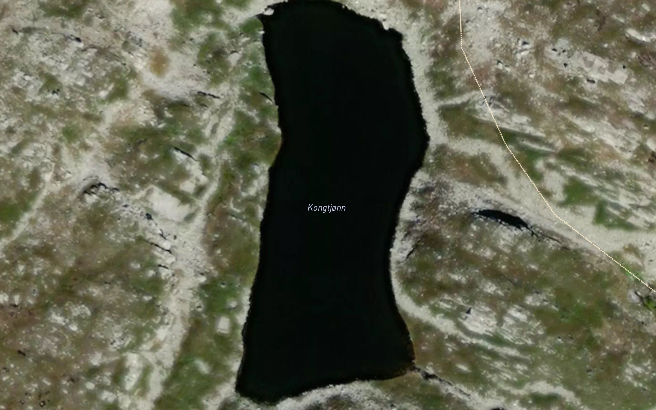 Kongtjorna