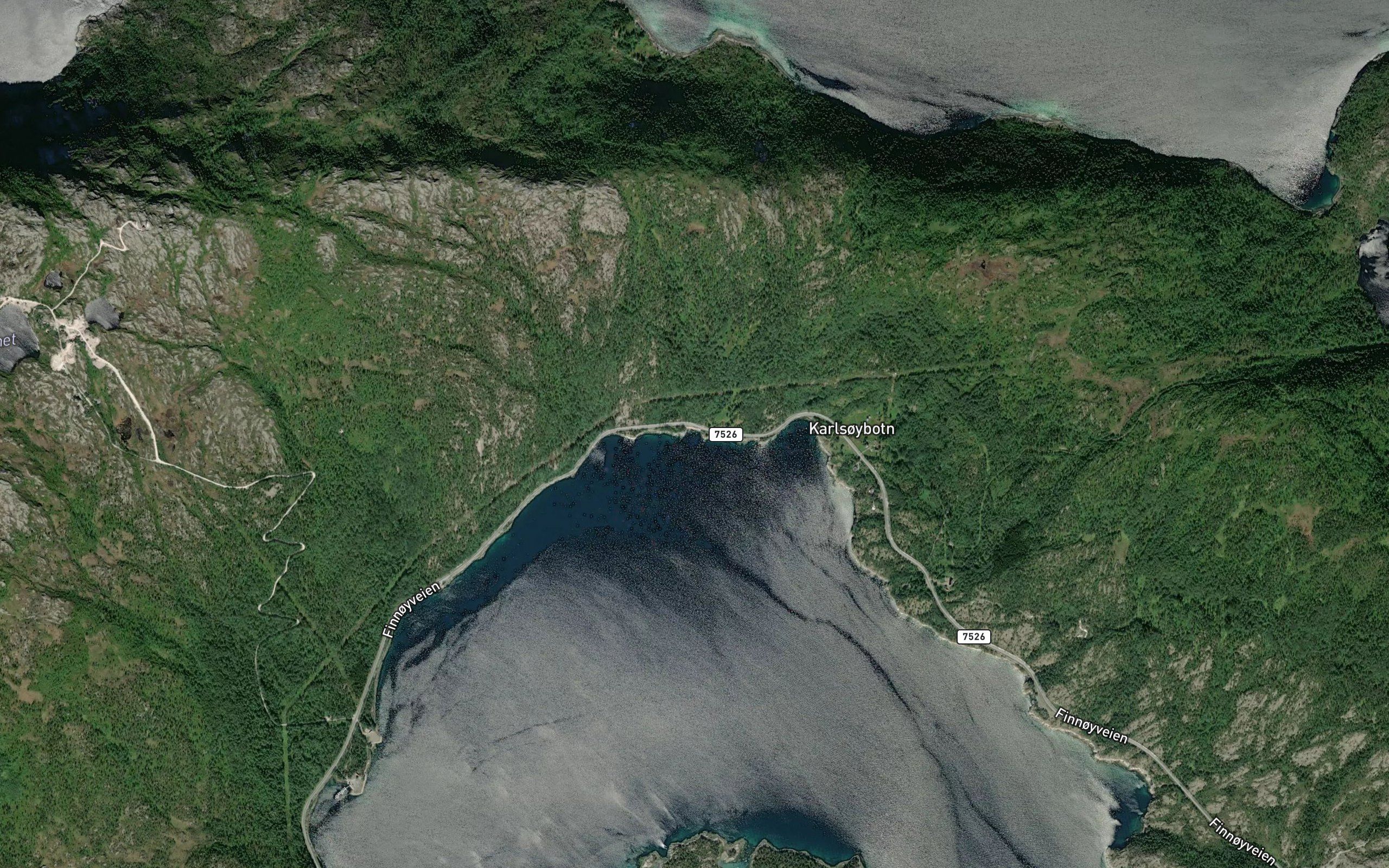 Naustvika