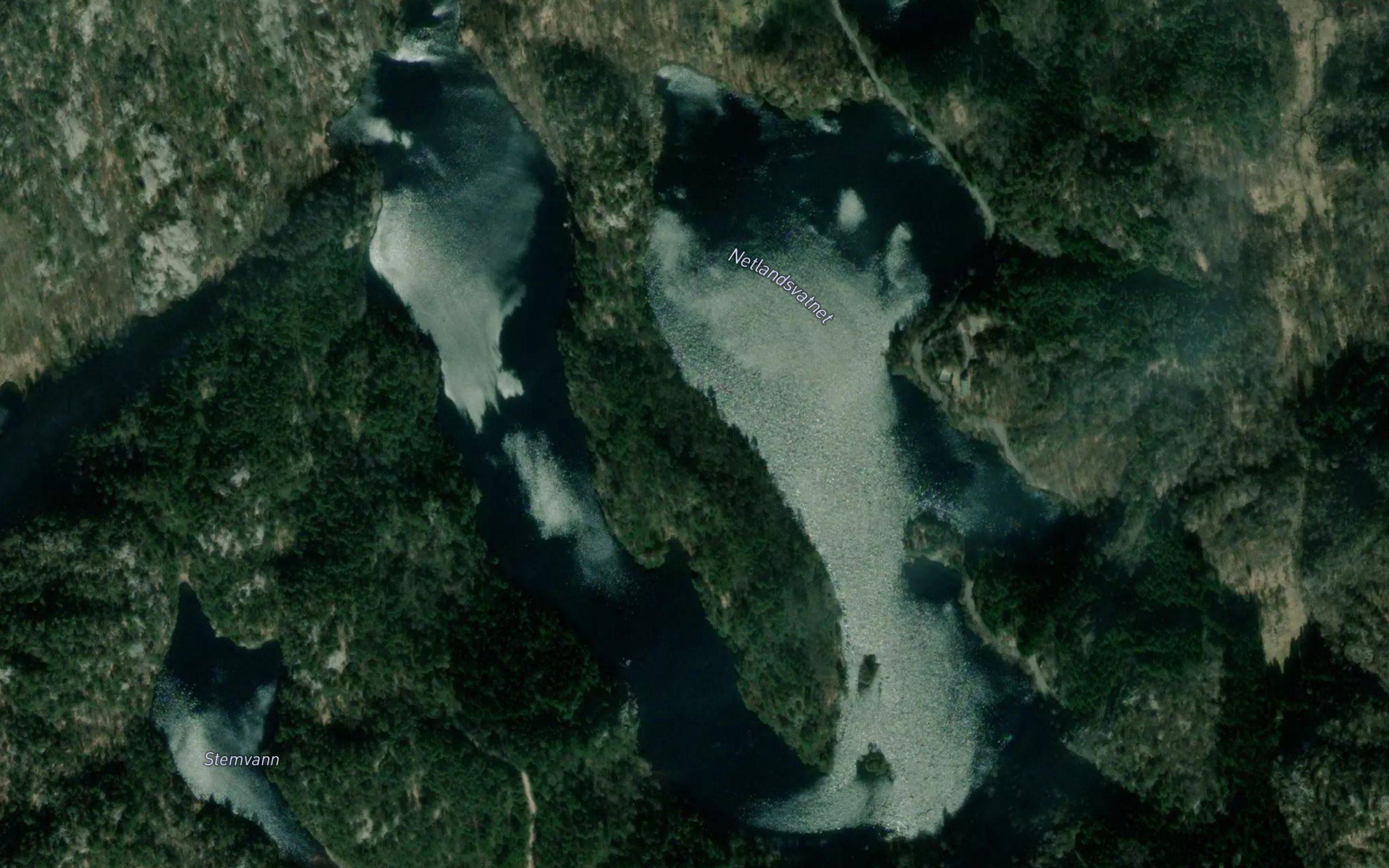Netlandsvatnet