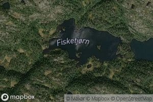 Fisketjonn