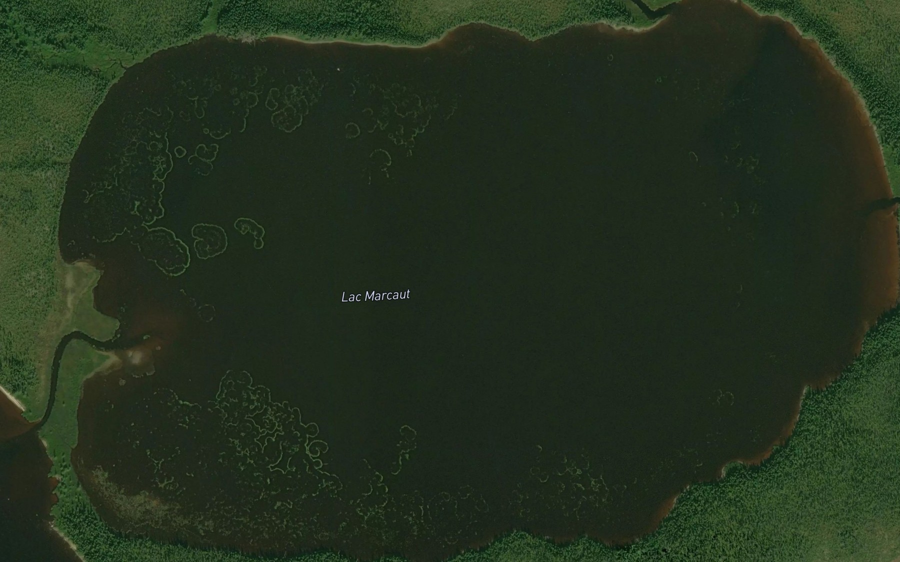 Satellite map of the Lac Marcaut