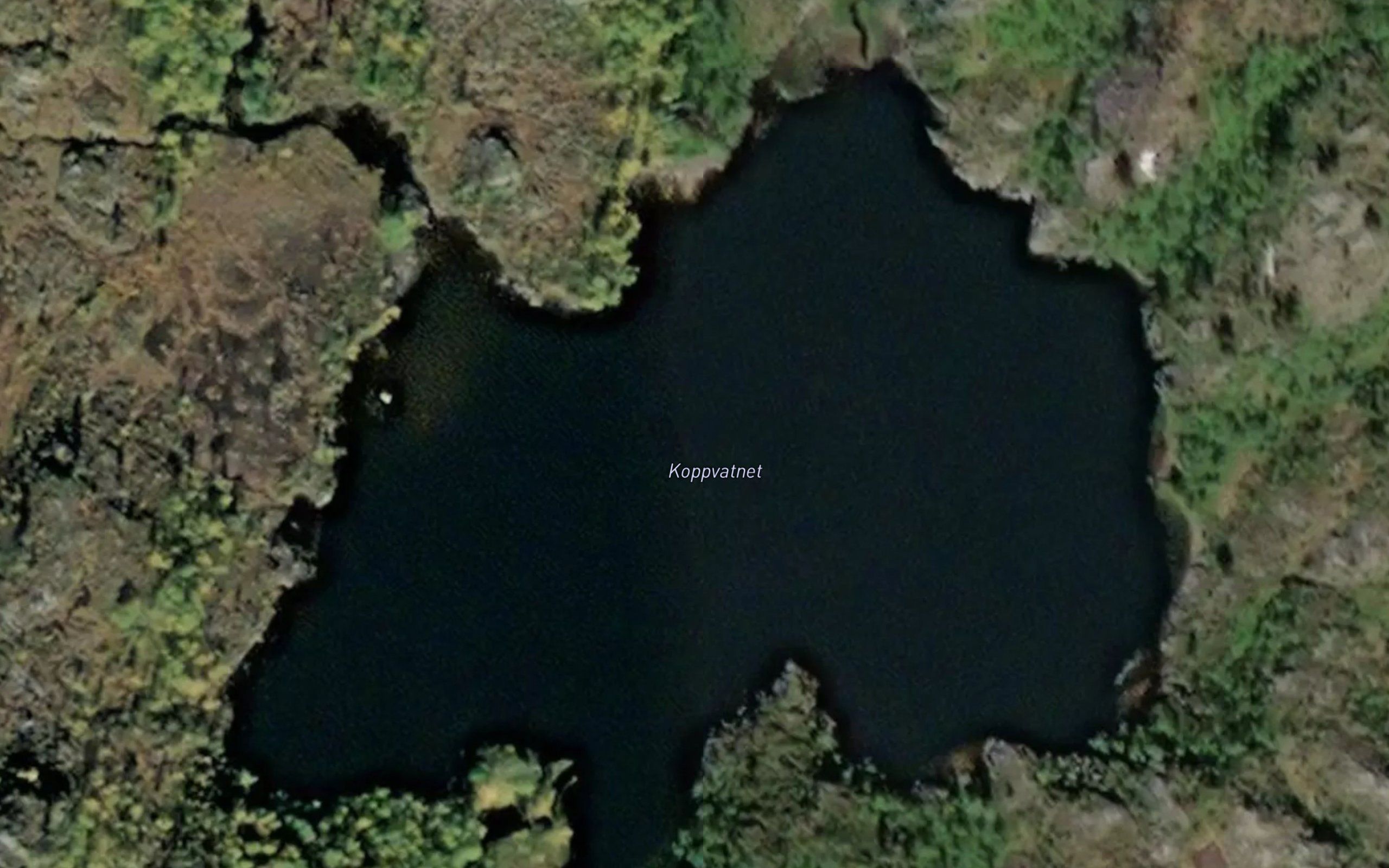 Koppvatnet