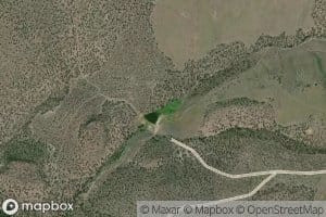 Ryegrass Spring