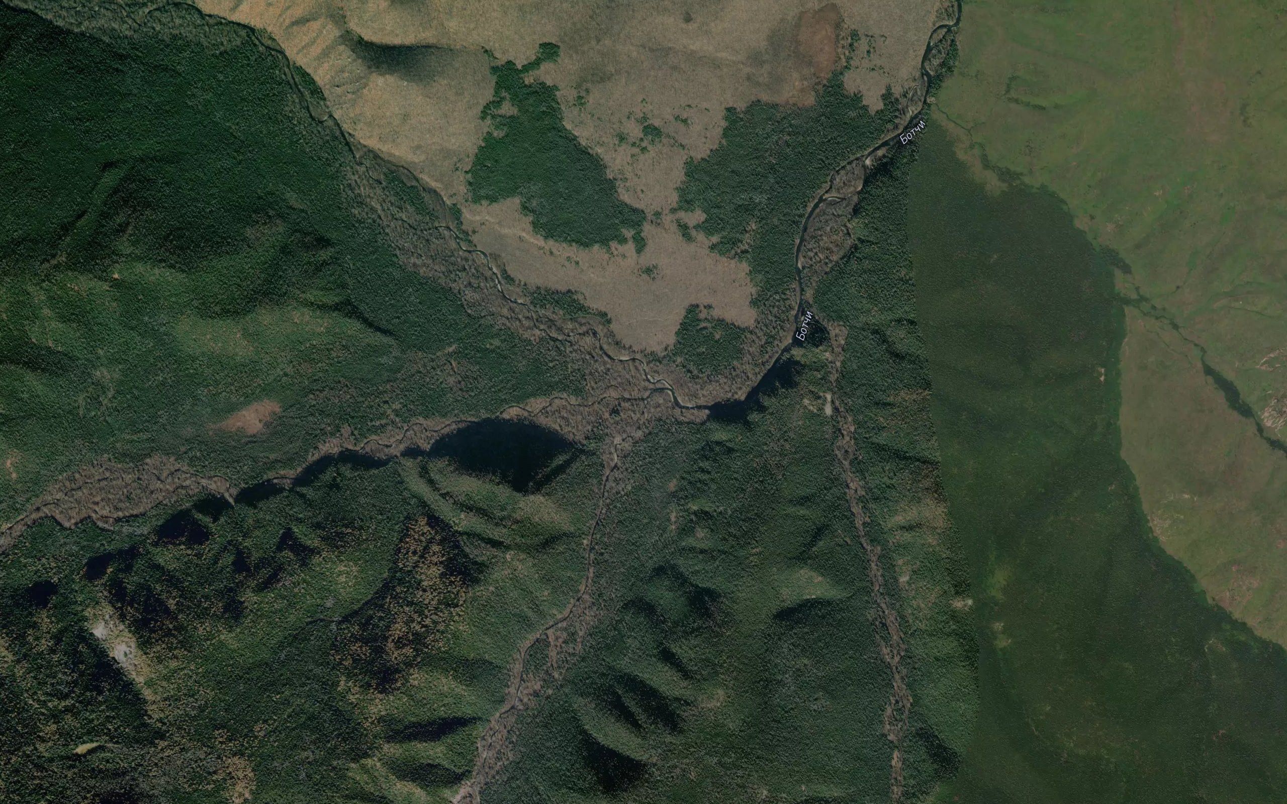 Uyna