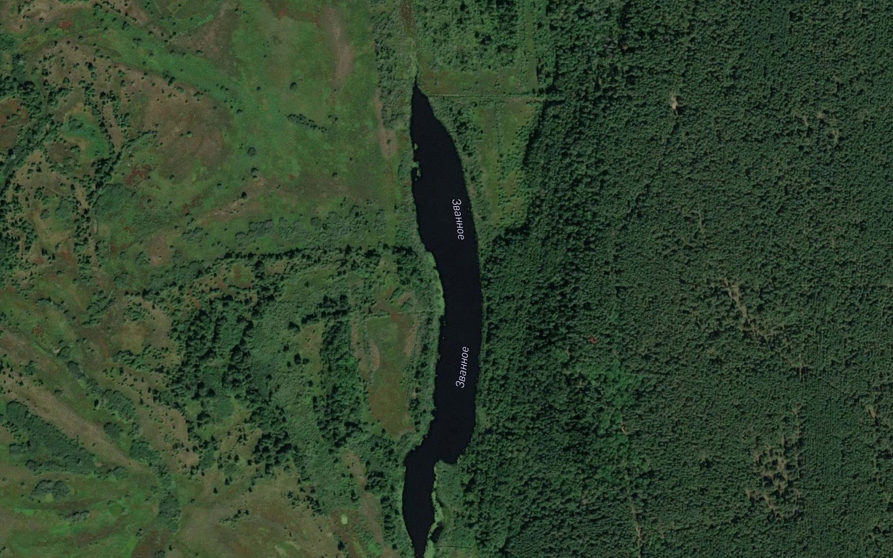 Satellite map of the Ozero Zvannoye