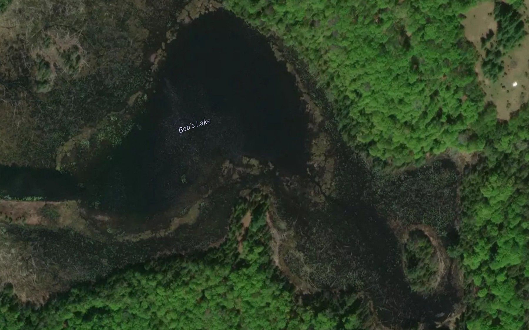 Satellite map of the Bob's Lake