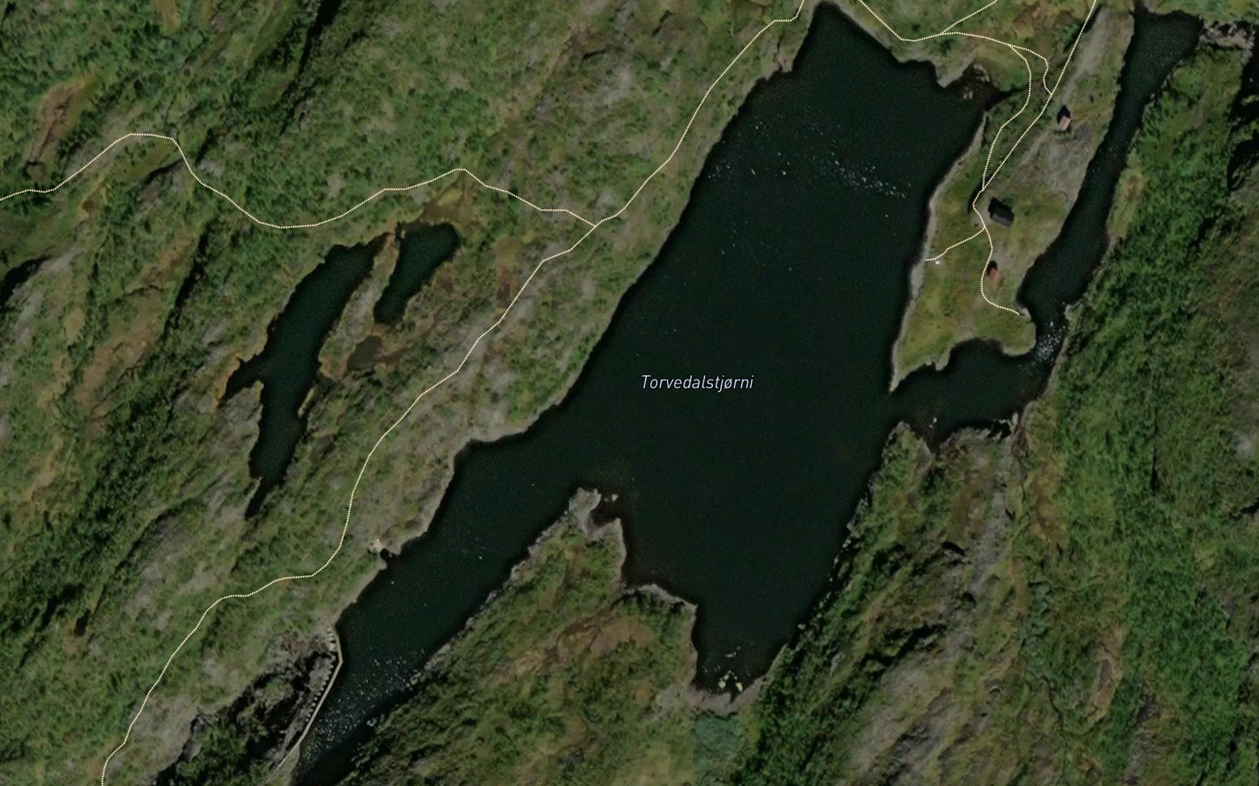 Torvedalstjorni