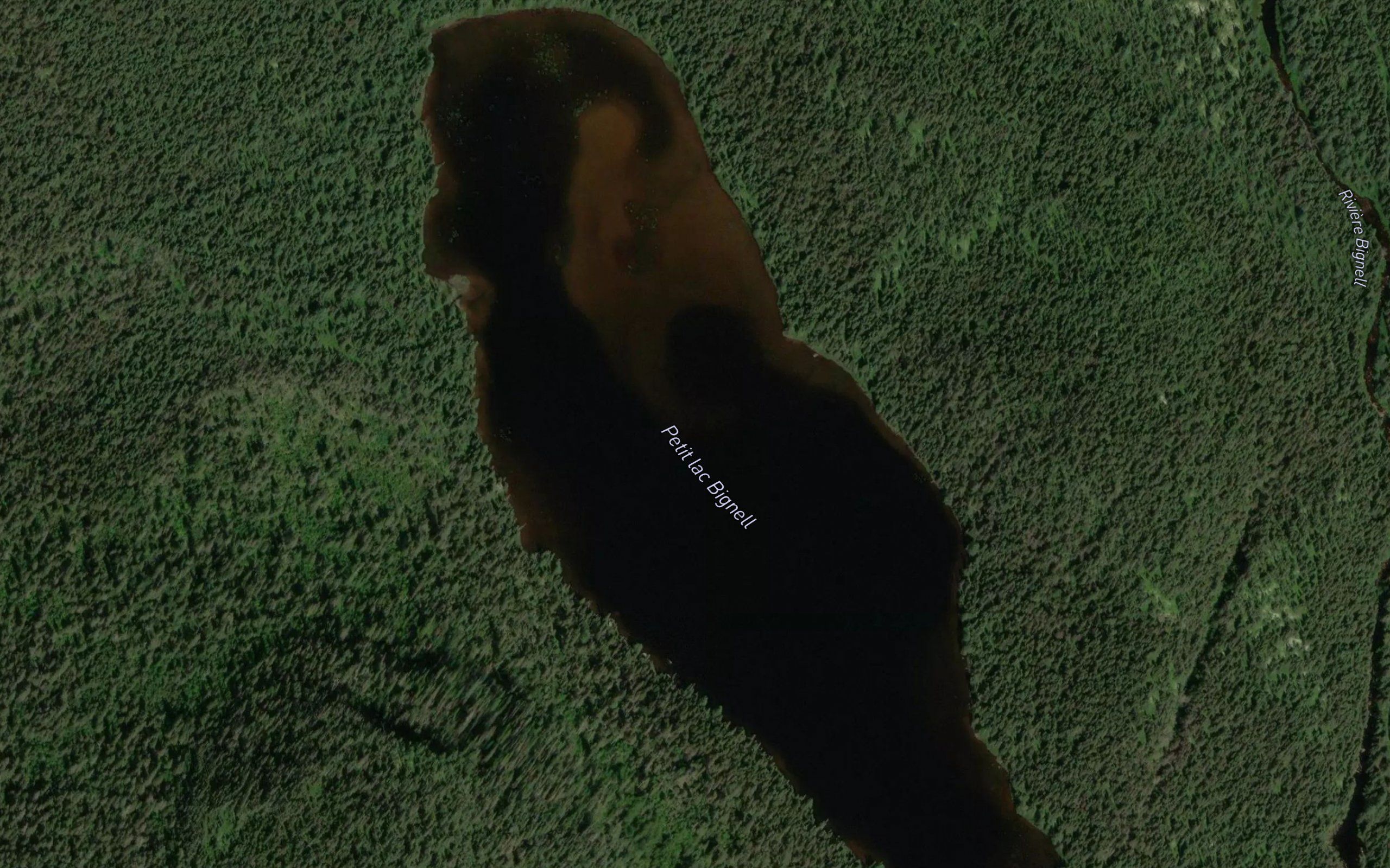 Petit lac Bignell