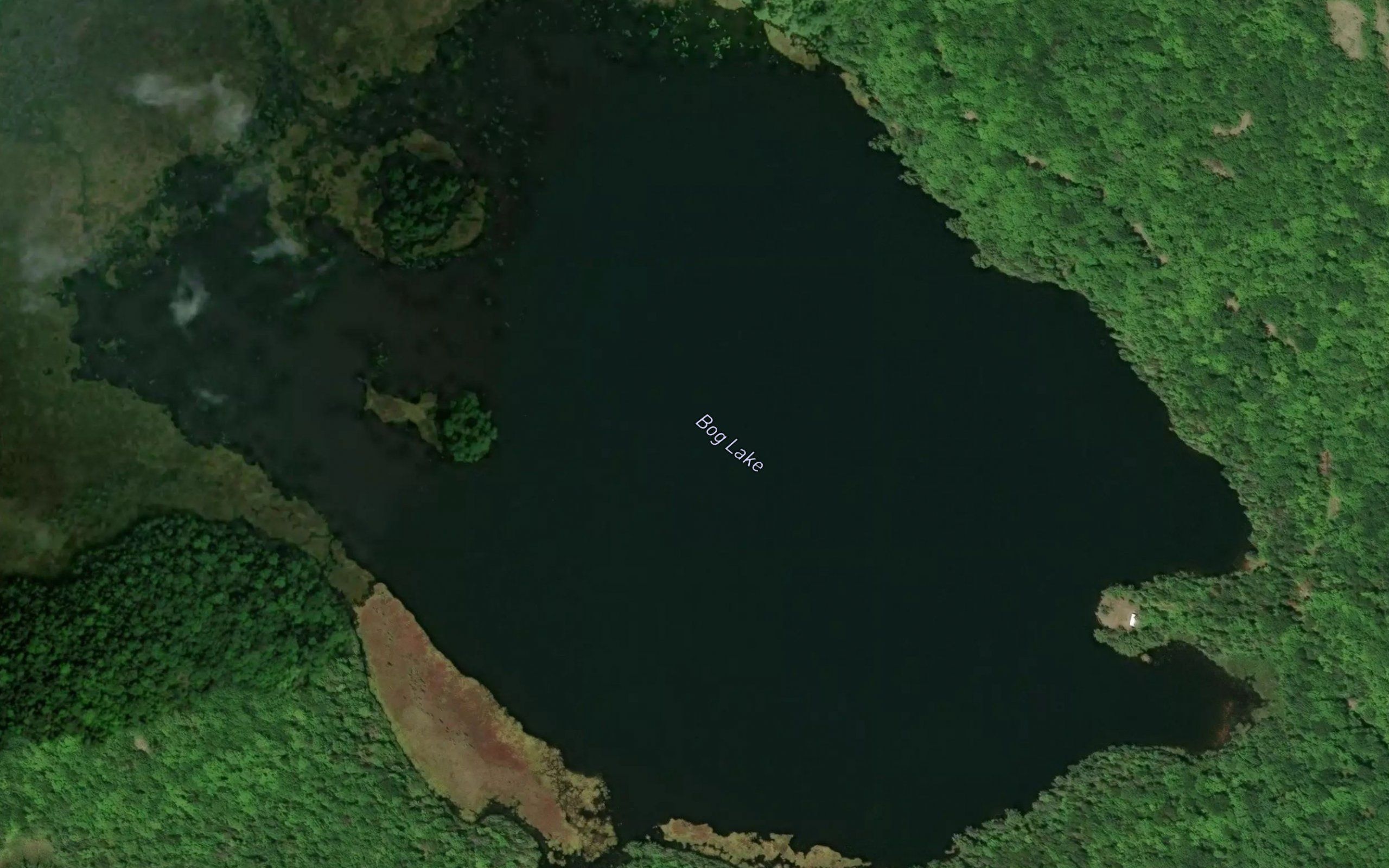 Bog Lake