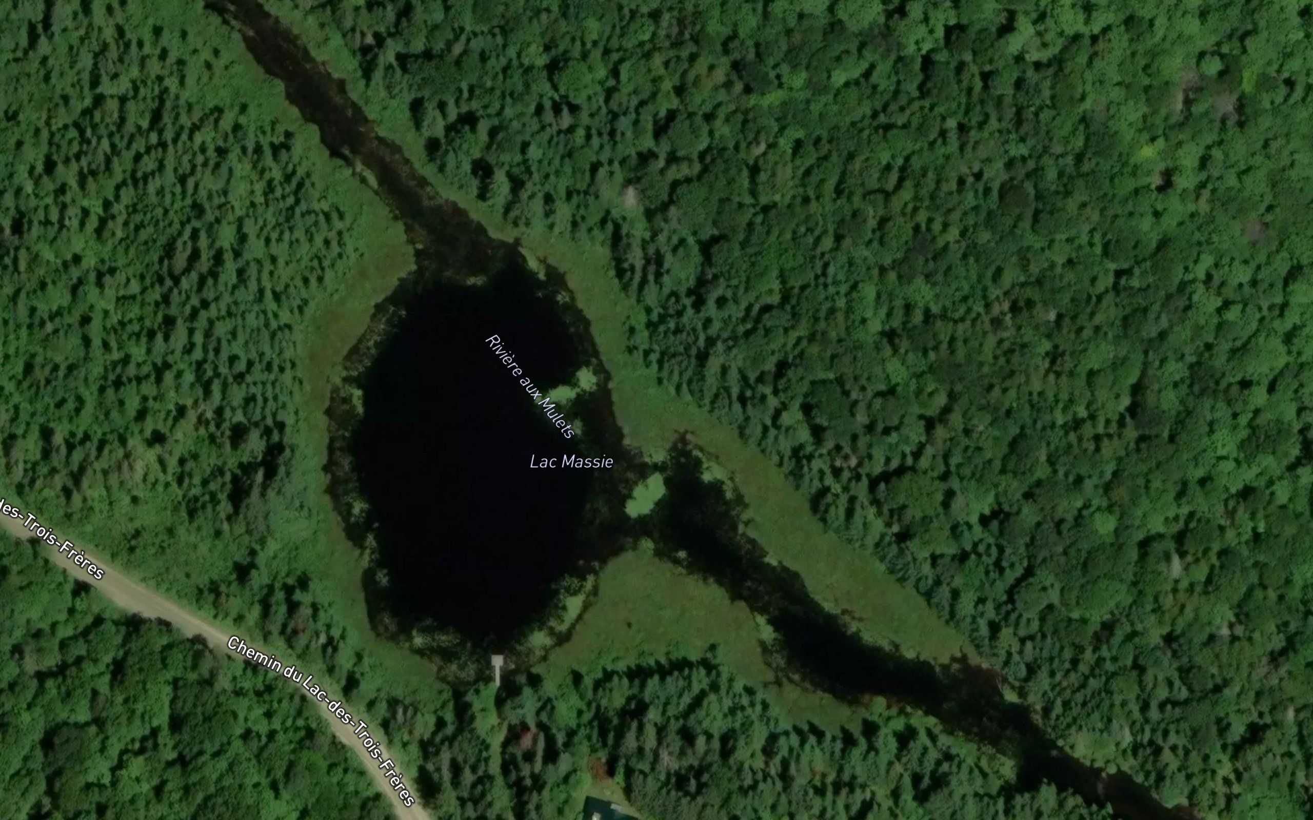 Lac Massie
