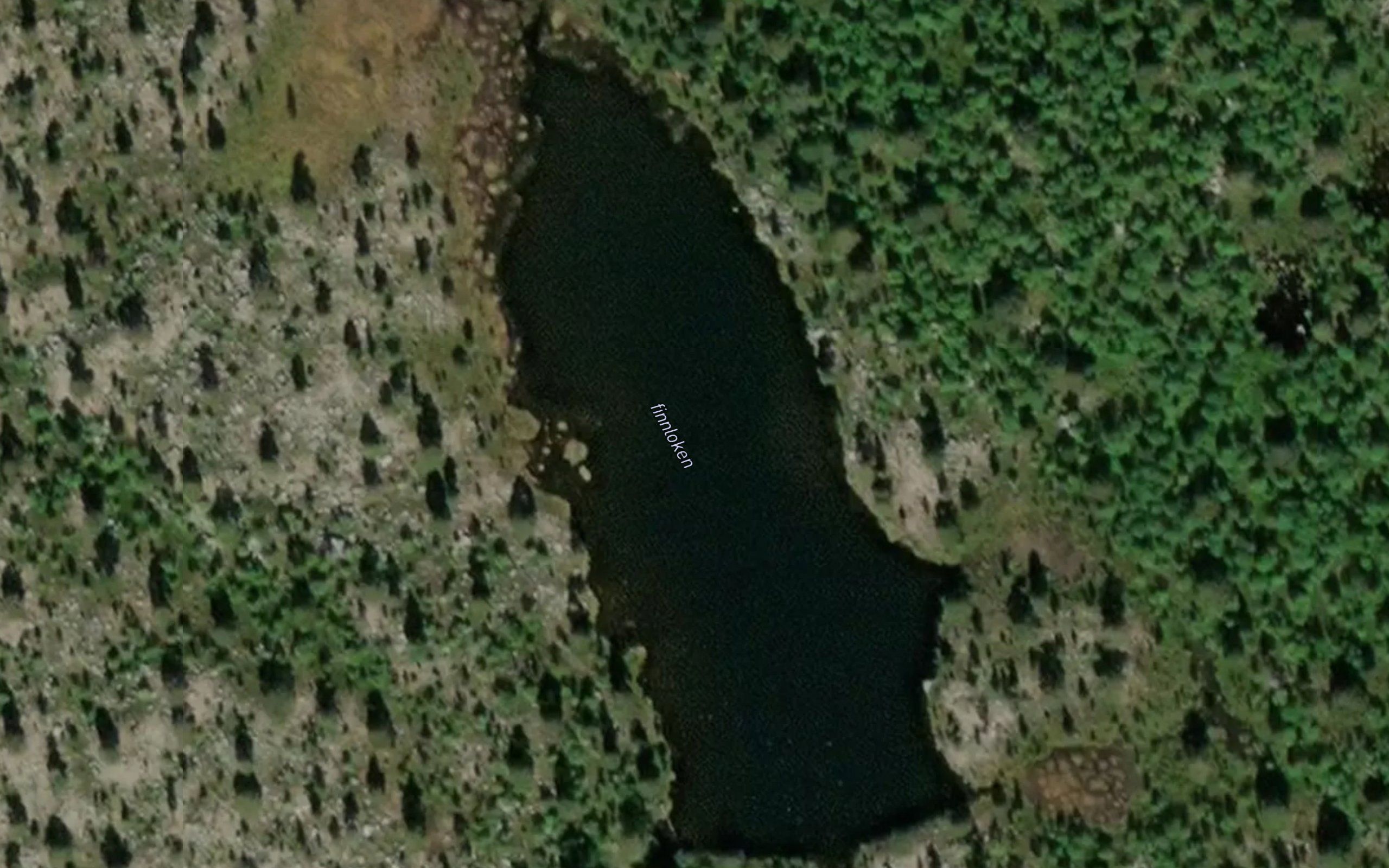 Finnkoiloken
