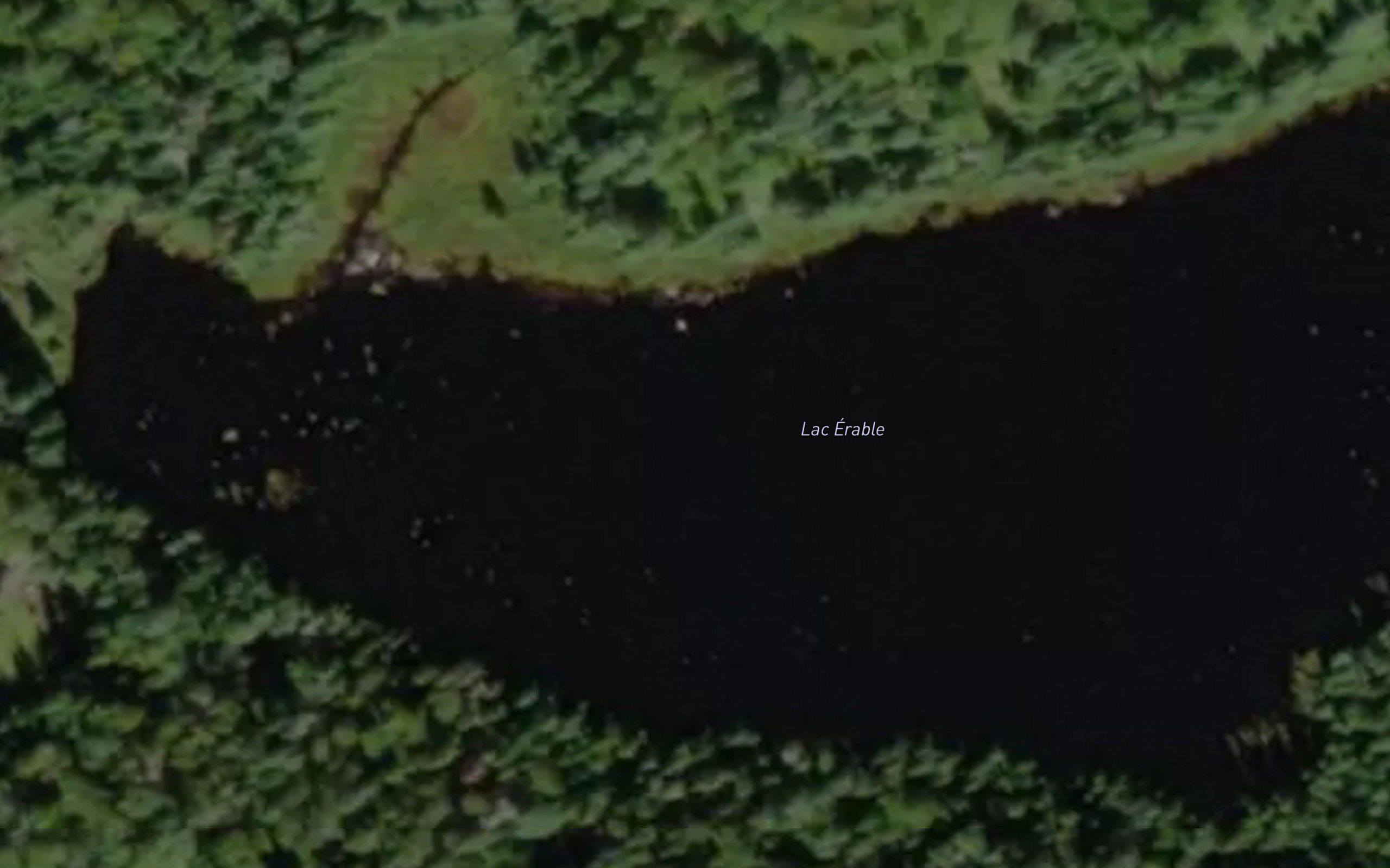 Lac Erable