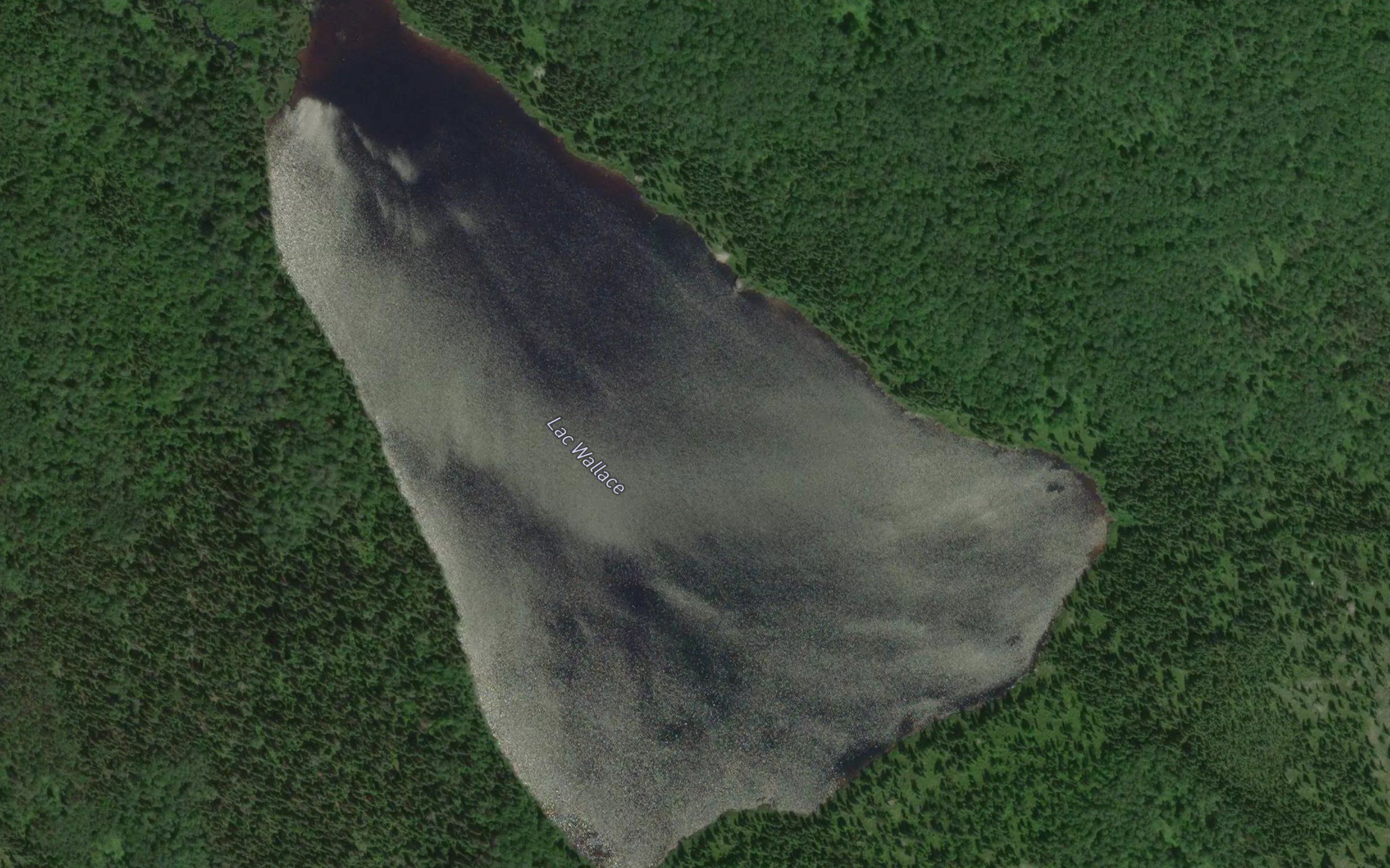 Lac Wallace
