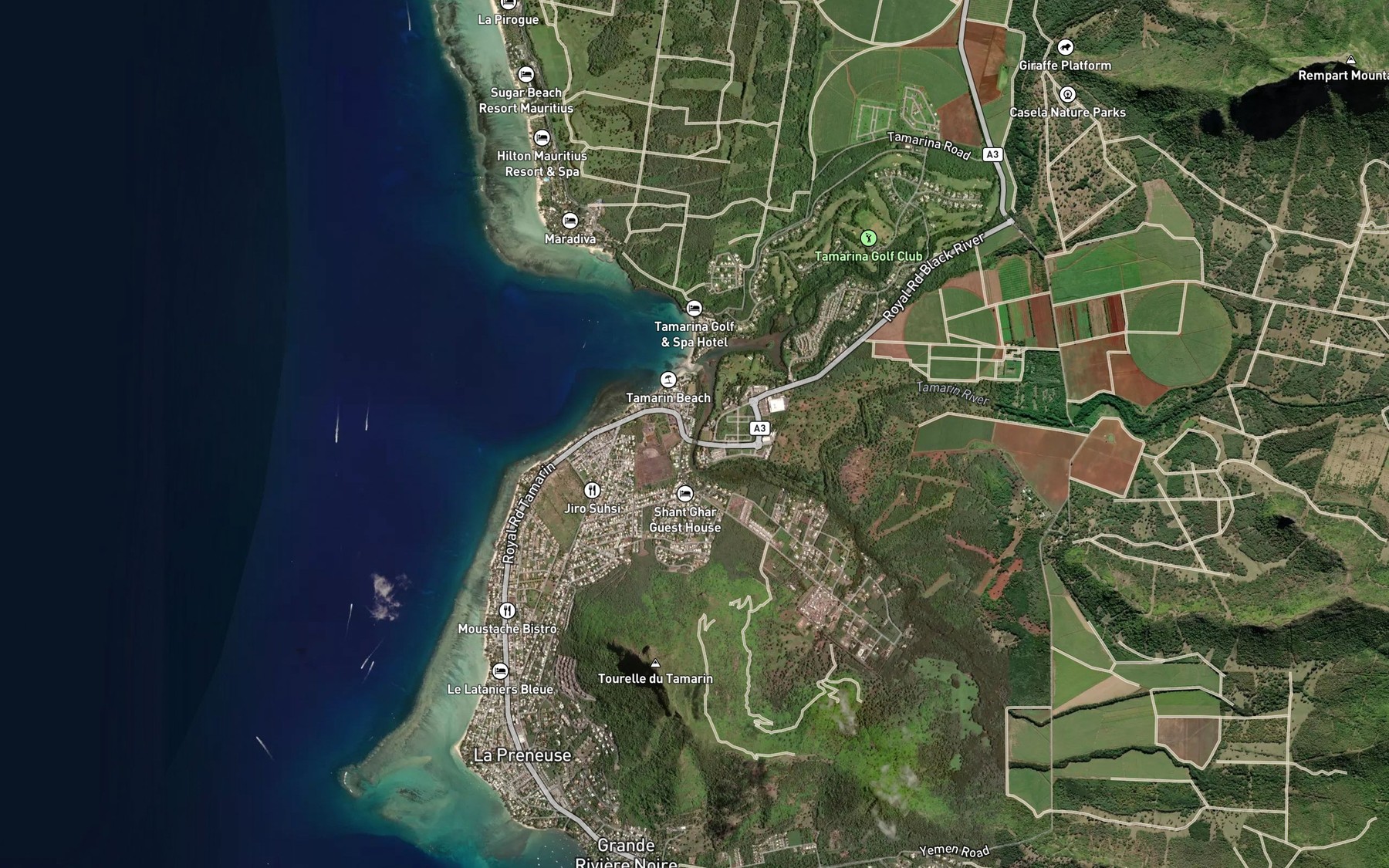 Satellite map of the River Tamarin