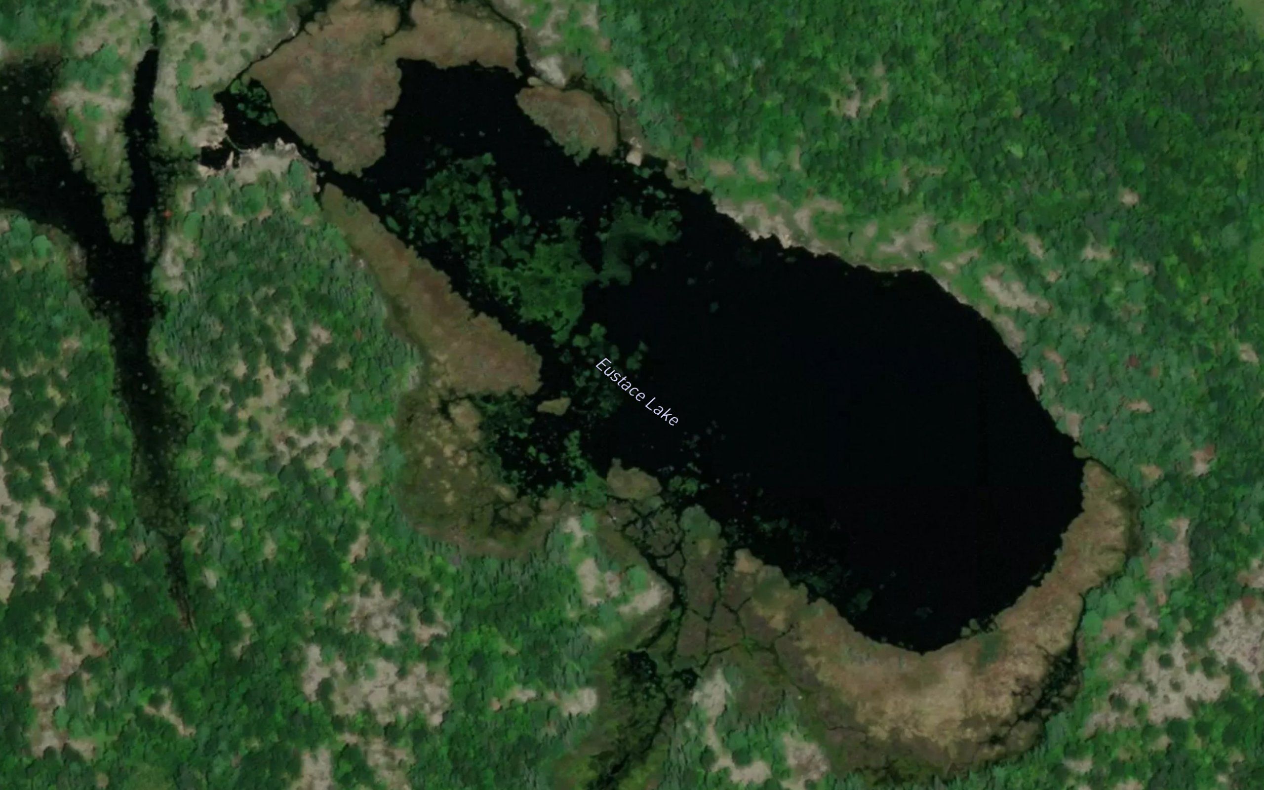 Eustace Lake