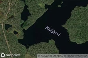 Putikko