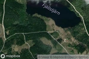 Fjallstjarn
