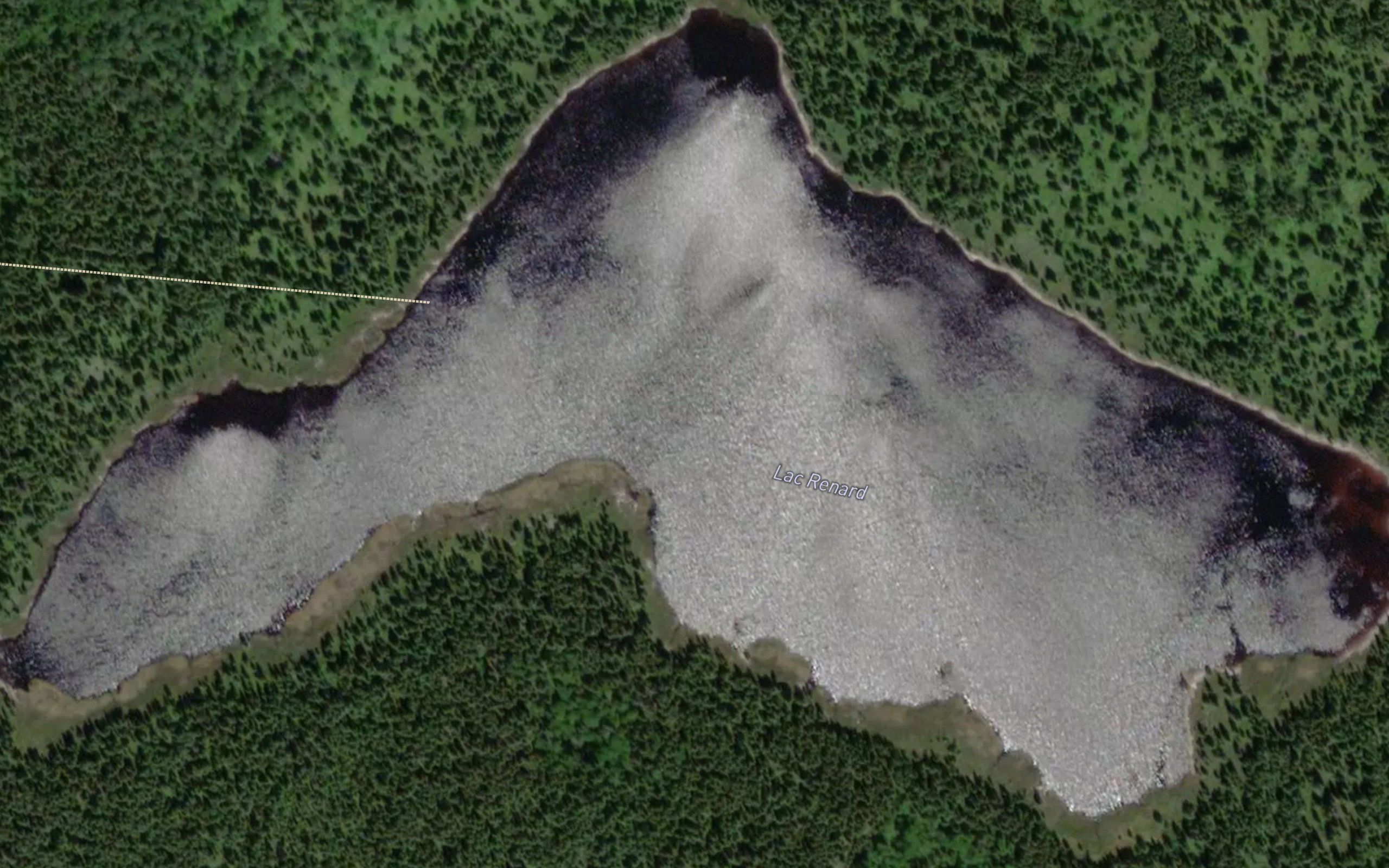Lac Renard