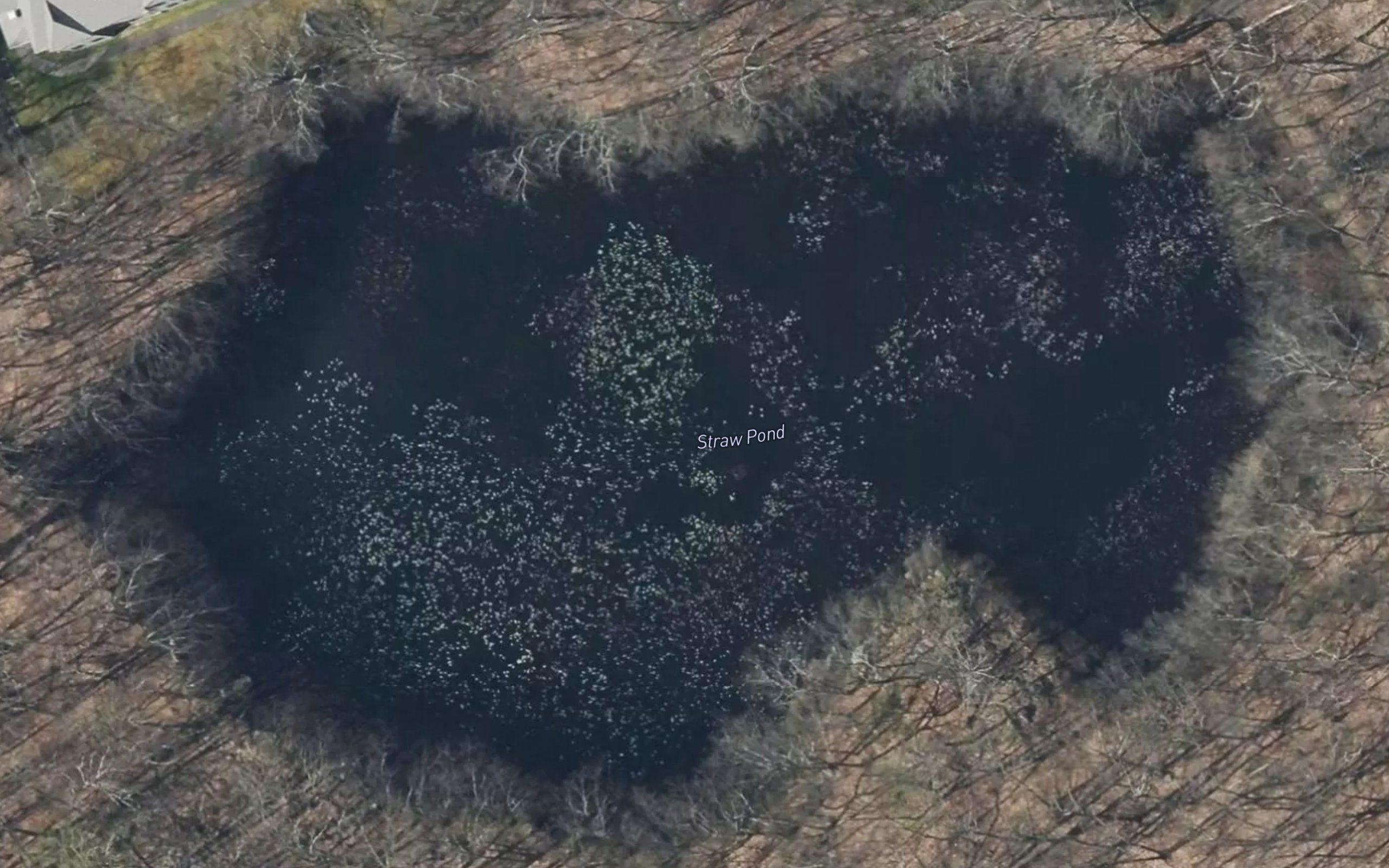 Straw Pond