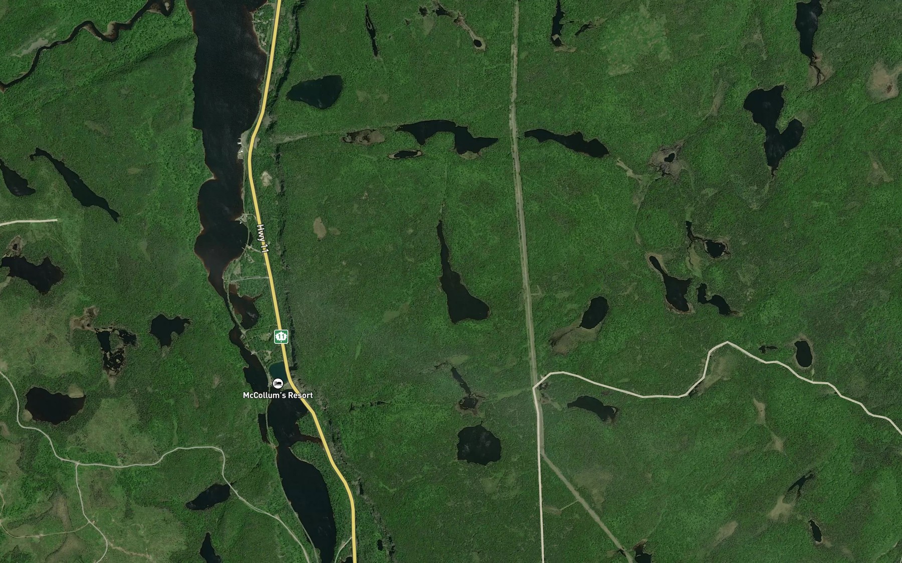 Satellite map of the Osier Lake