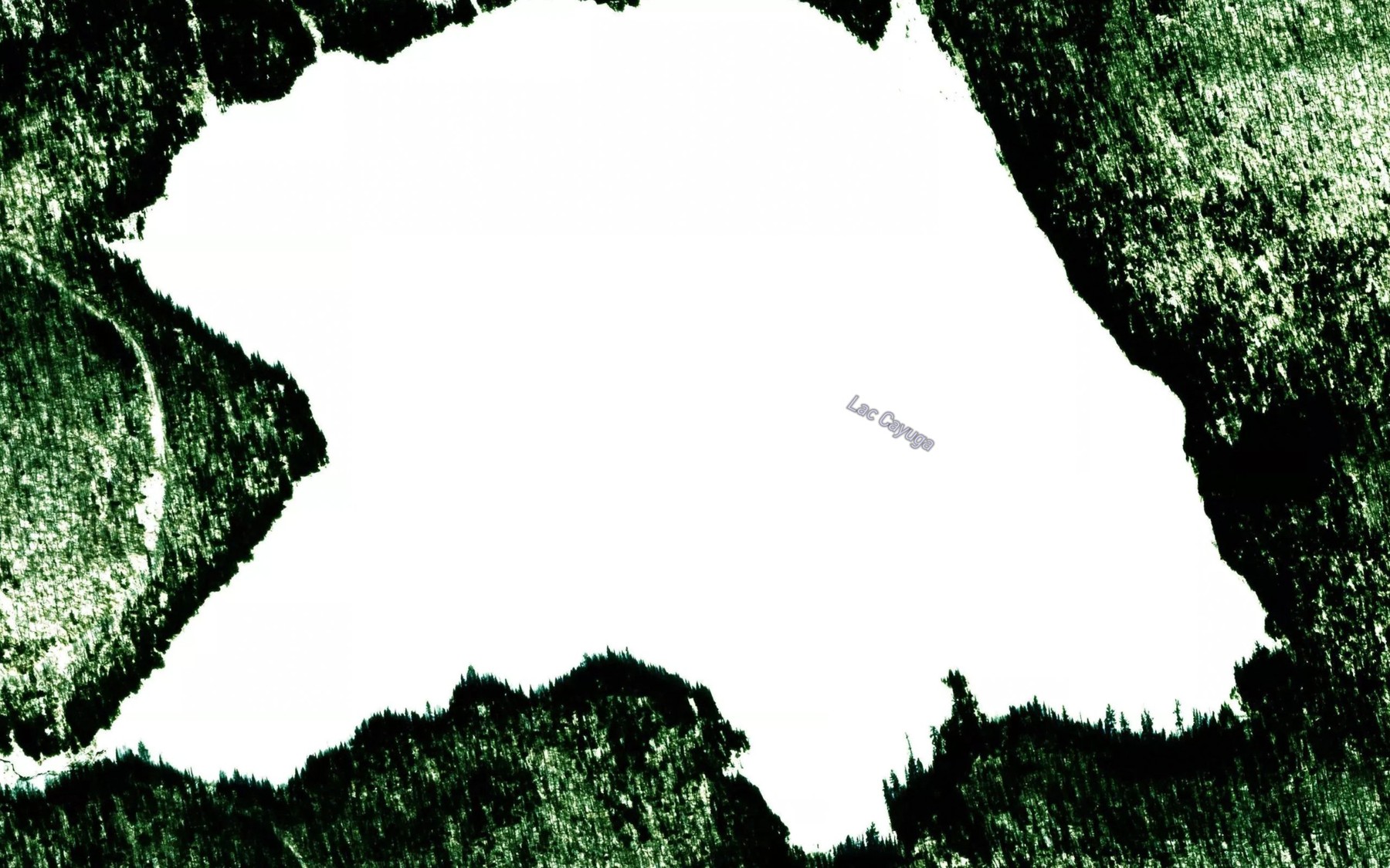 Satellite map of the Lac Cayuga